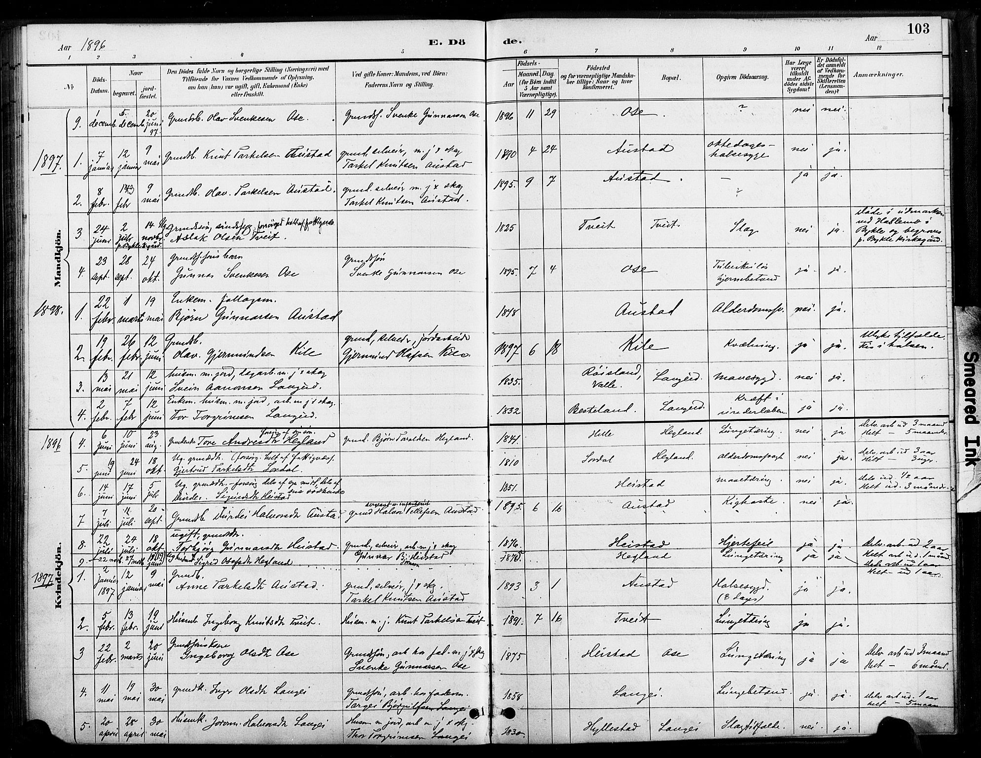Bygland sokneprestkontor, SAK/1111-0006/F/Fa/Faa/L0001: Parish register (official) no. A 1, 1885-1908, p. 103