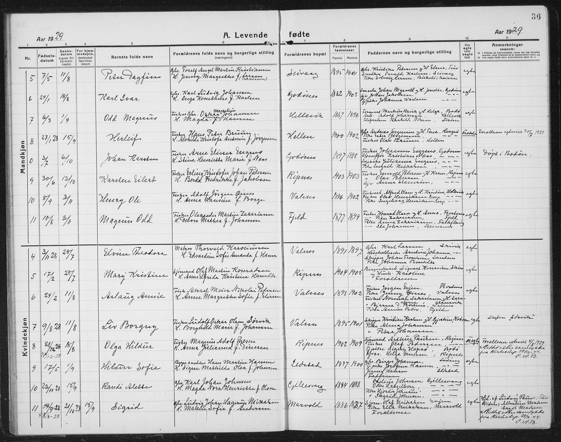 Ministerialprotokoller, klokkerbøker og fødselsregistre - Nordland, SAT/A-1459/804/L0089: Parish register (copy) no. 804C02, 1918-1935, p. 36