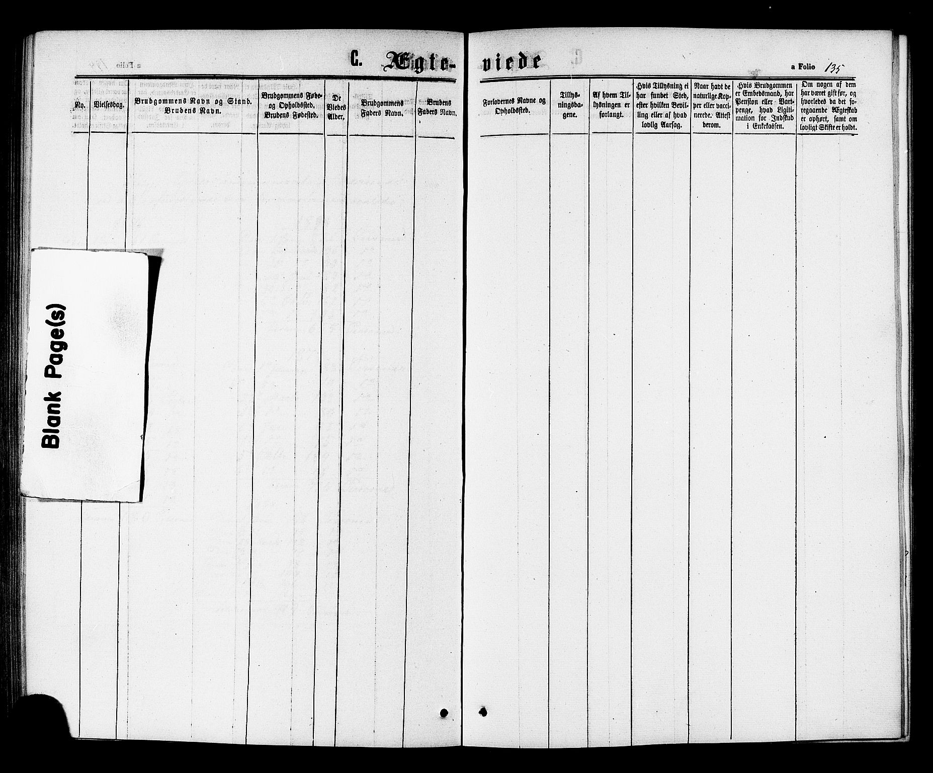 Ministerialprotokoller, klokkerbøker og fødselsregistre - Sør-Trøndelag, SAT/A-1456/698/L1163: Parish register (official) no. 698A01, 1862-1887, p. 135