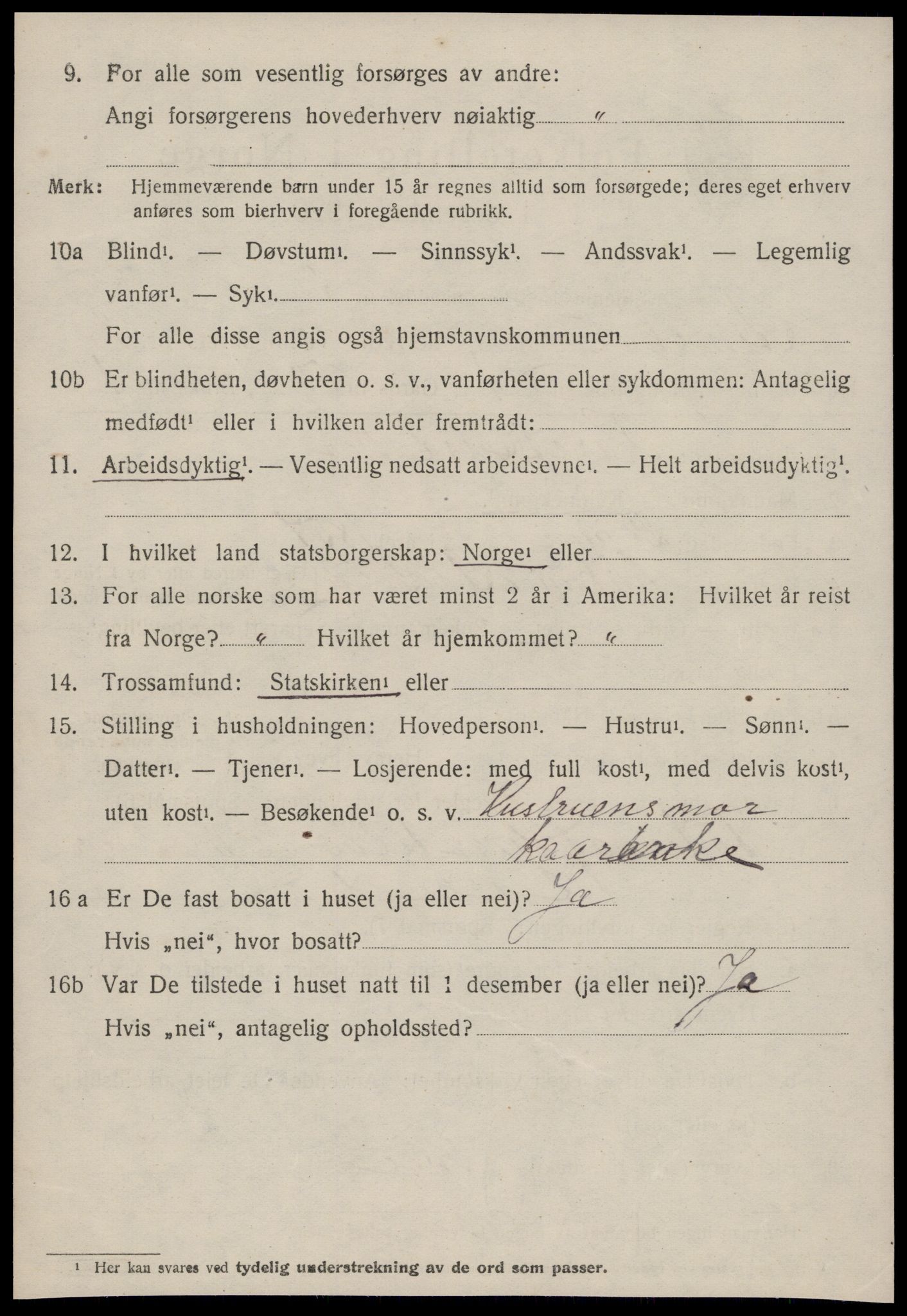 SAT, 1920 census for Stemshaug, 1920, p. 1053