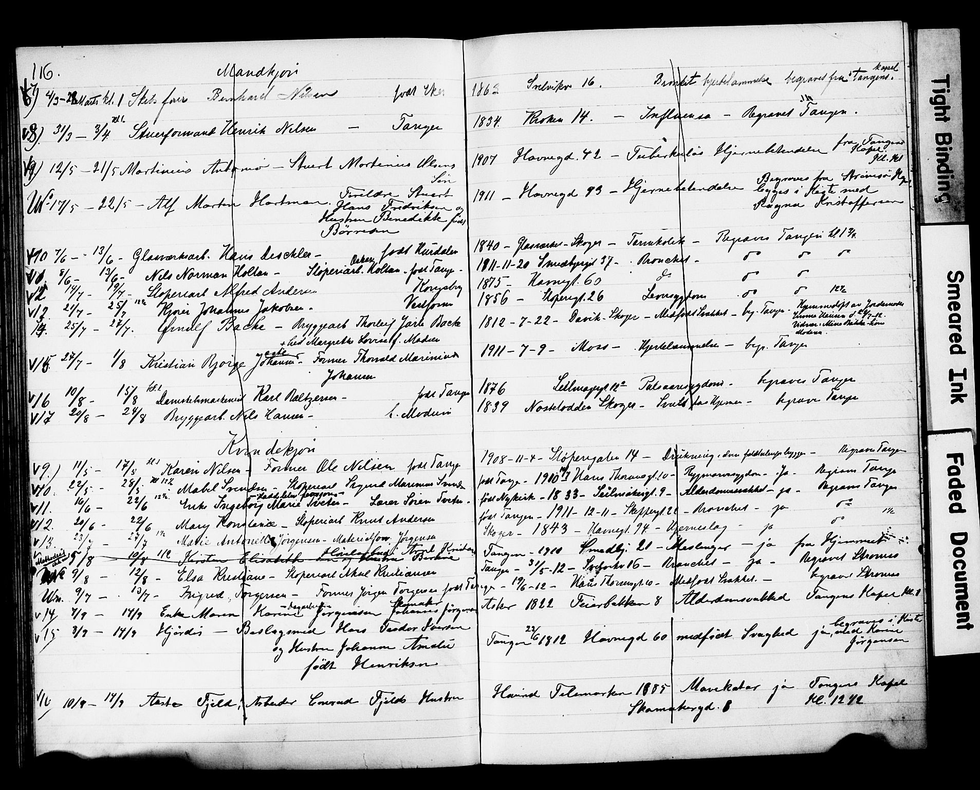 Strømsø kirkebøker, SAKO/A-246/Y/Yb/L0002: Parish register draft no. II 2, 1907-1915, p. 116