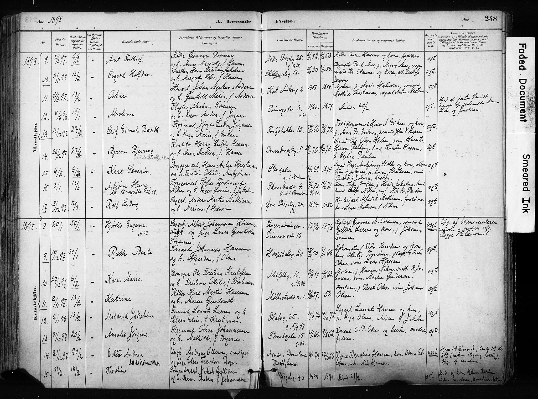 Larvik kirkebøker, AV/SAKO-A-352/F/Fa/L0009: Parish register (official) no. I 9, 1884-1904, p. 248