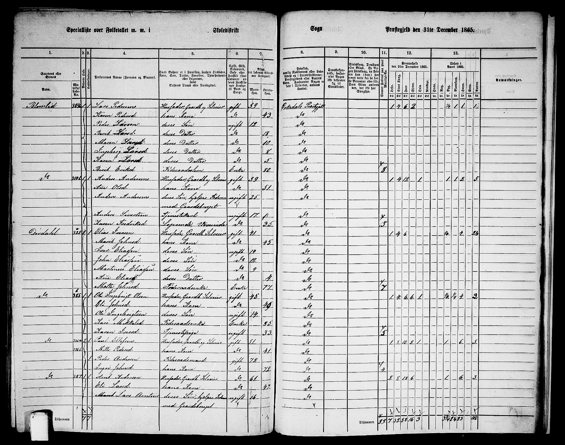 RA, 1865 census for Orkdal, 1865, p. 255