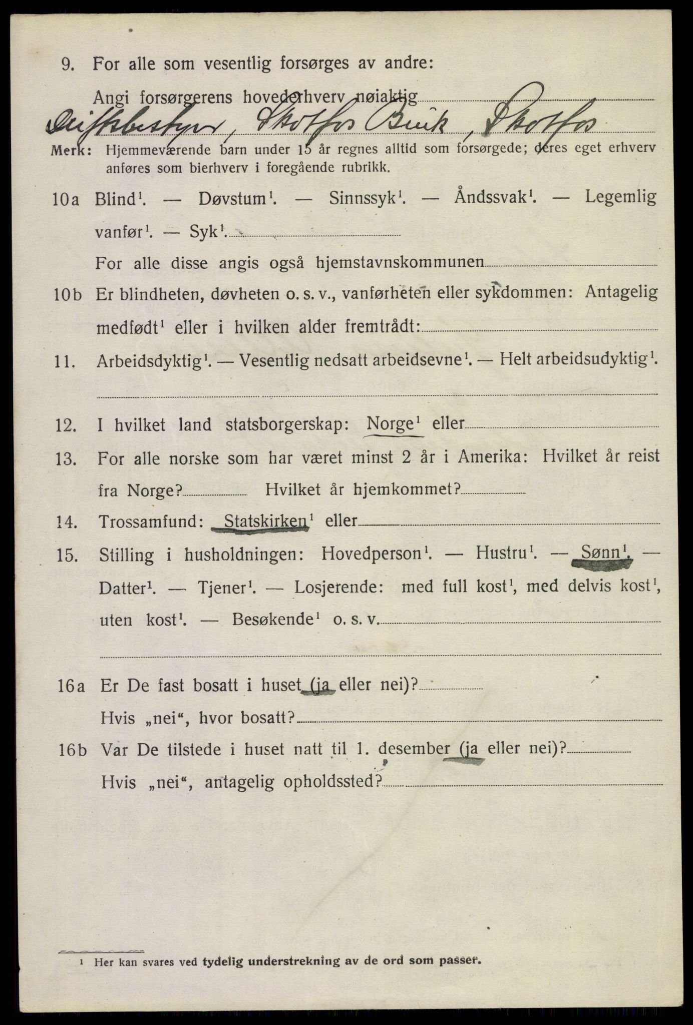 SAKO, 1920 census for Solum, 1920, p. 6317