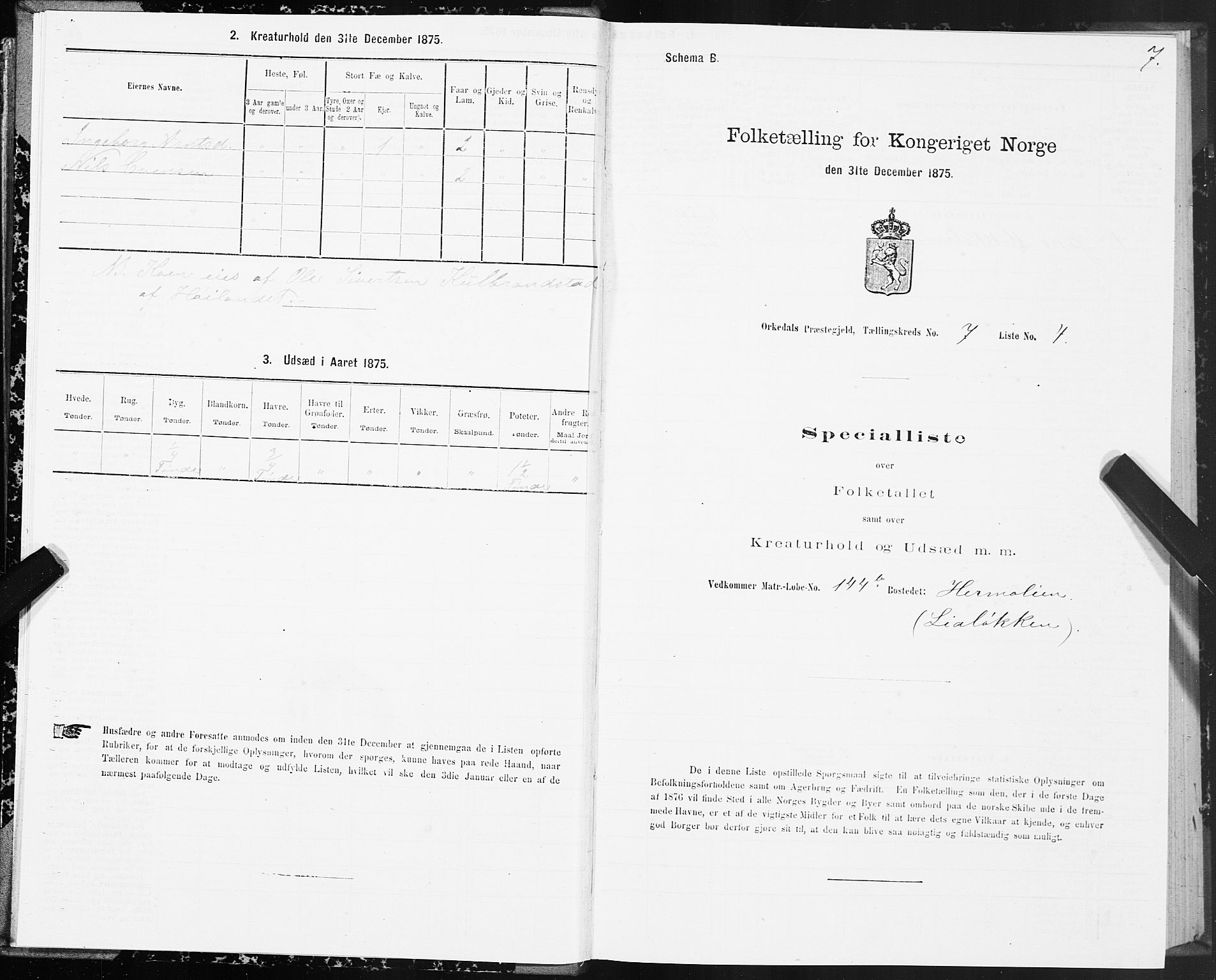 SAT, 1875 census for 1638P Orkdal, 1875, p. 4007