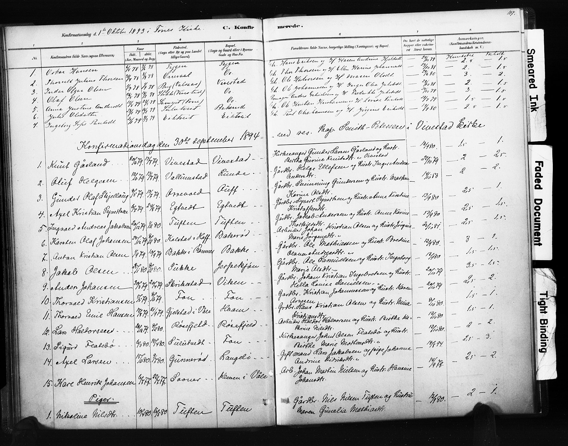 Ramnes kirkebøker, SAKO/A-314/F/Fc/L0001: Parish register (official) no. III 1, 1878-1899, p. 106-107