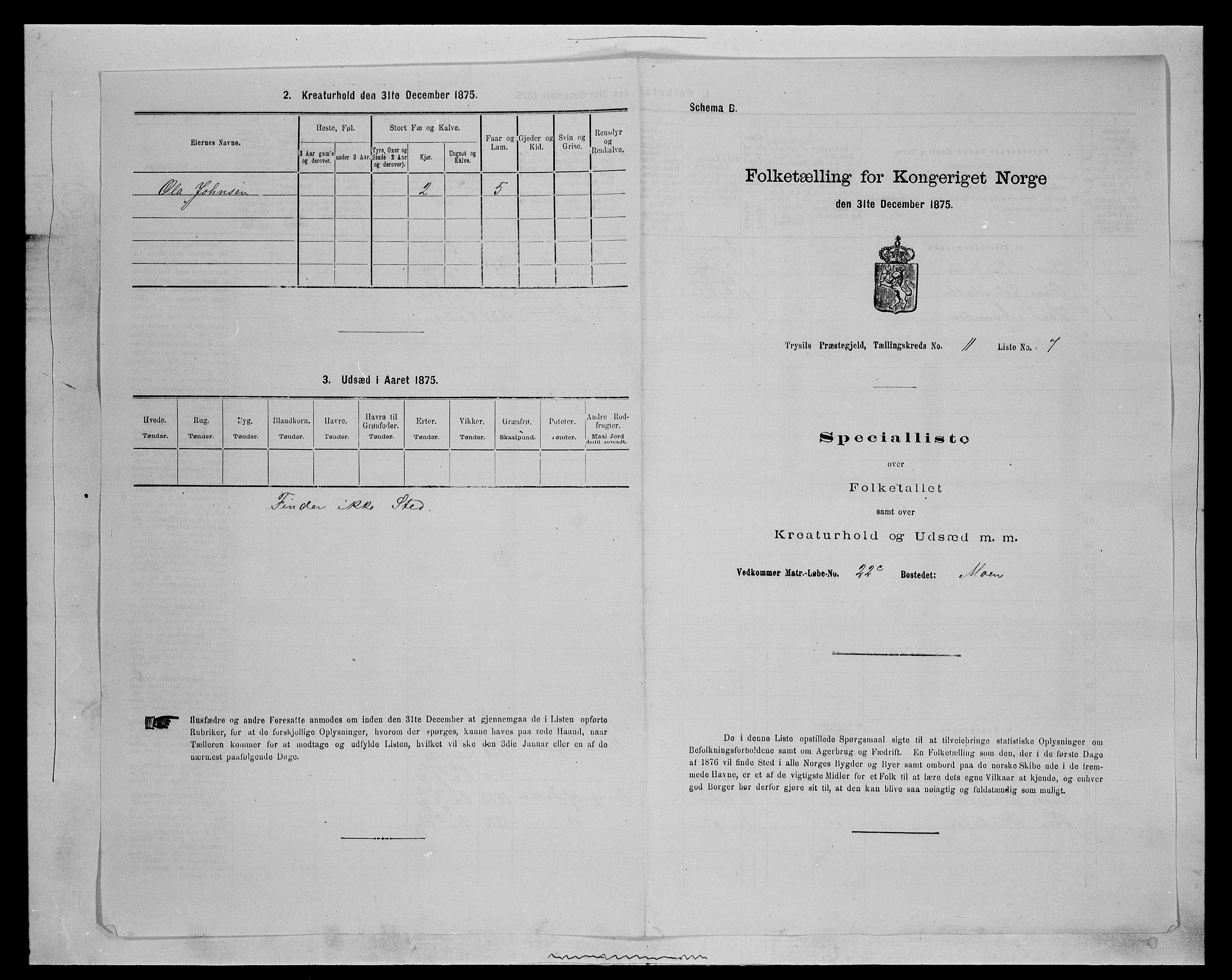 SAH, 1875 census for 0428P Trysil, 1875, p. 1237