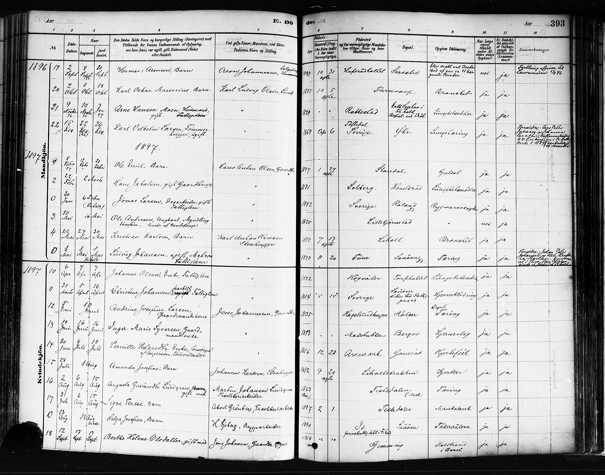 Idd prestekontor Kirkebøker, AV/SAO-A-10911/F/Fc/L0006b: Parish register (official) no. III 6B, 1878-1903, p. 393