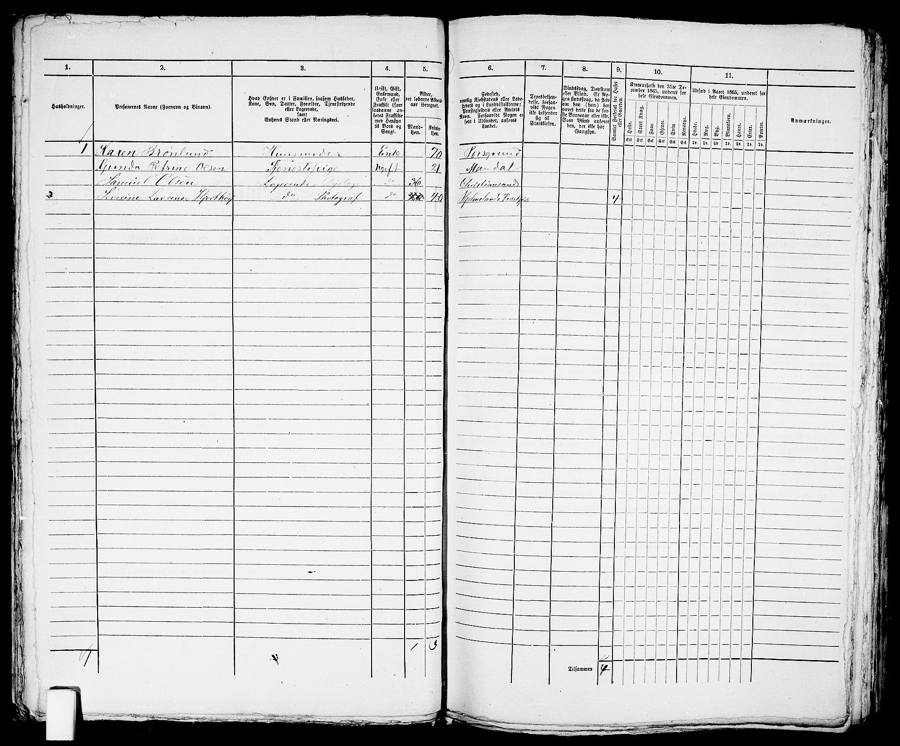 RA, 1865 census for Arendal, 1865, p. 384