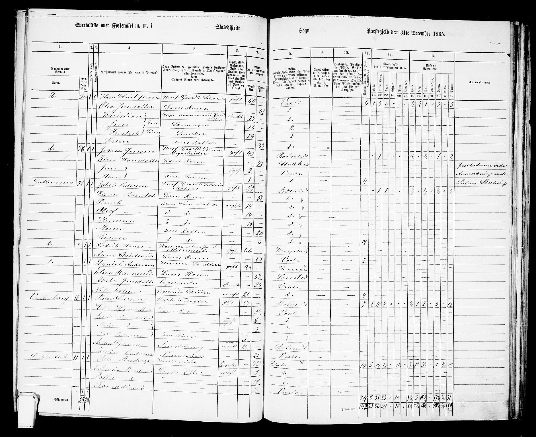 RA, 1865 census for Våle, 1865, p. 16