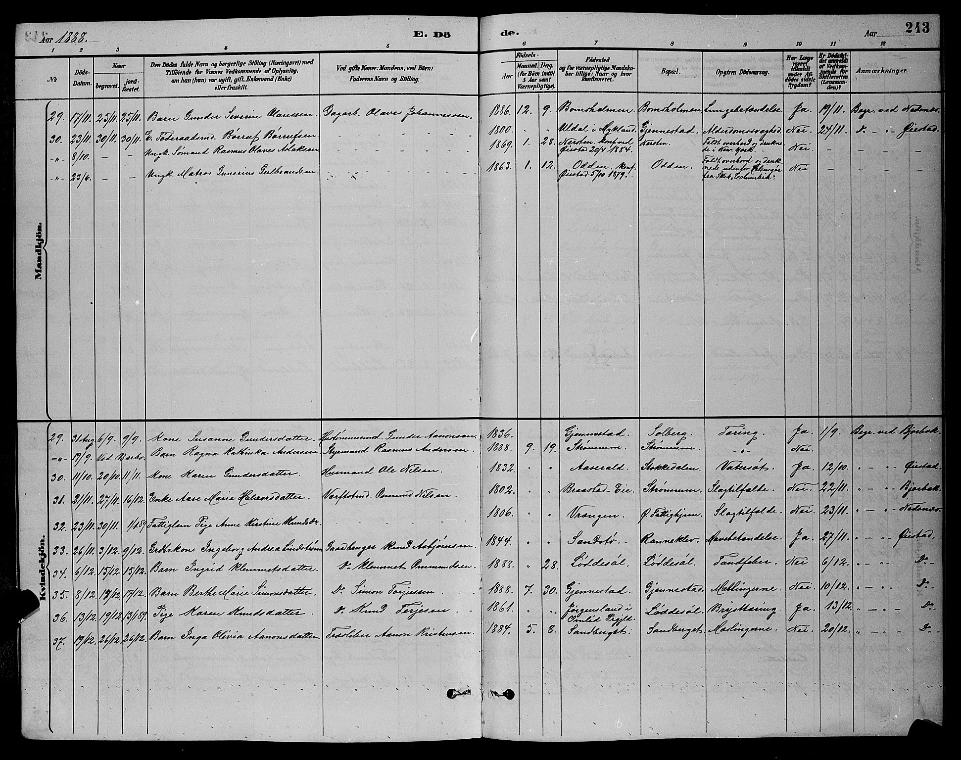 Øyestad sokneprestkontor, AV/SAK-1111-0049/F/Fb/L0009: Parish register (copy) no. B 9, 1886-1896, p. 243