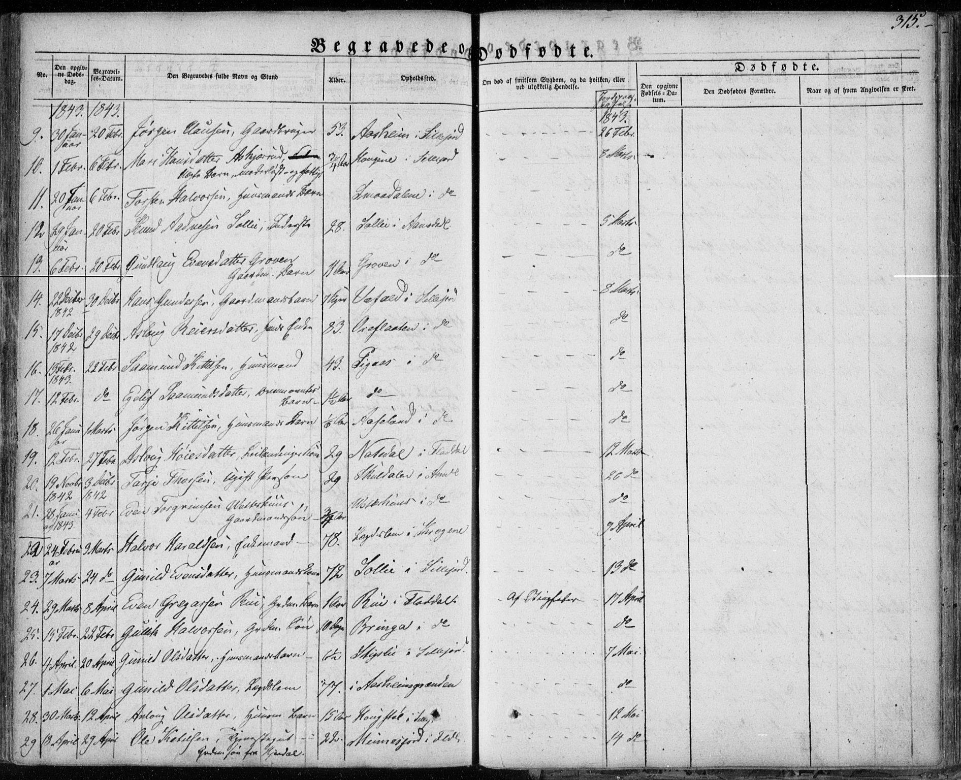 Seljord kirkebøker, SAKO/A-20/F/Fa/L0011: Parish register (official) no. I 11, 1831-1849, p. 315