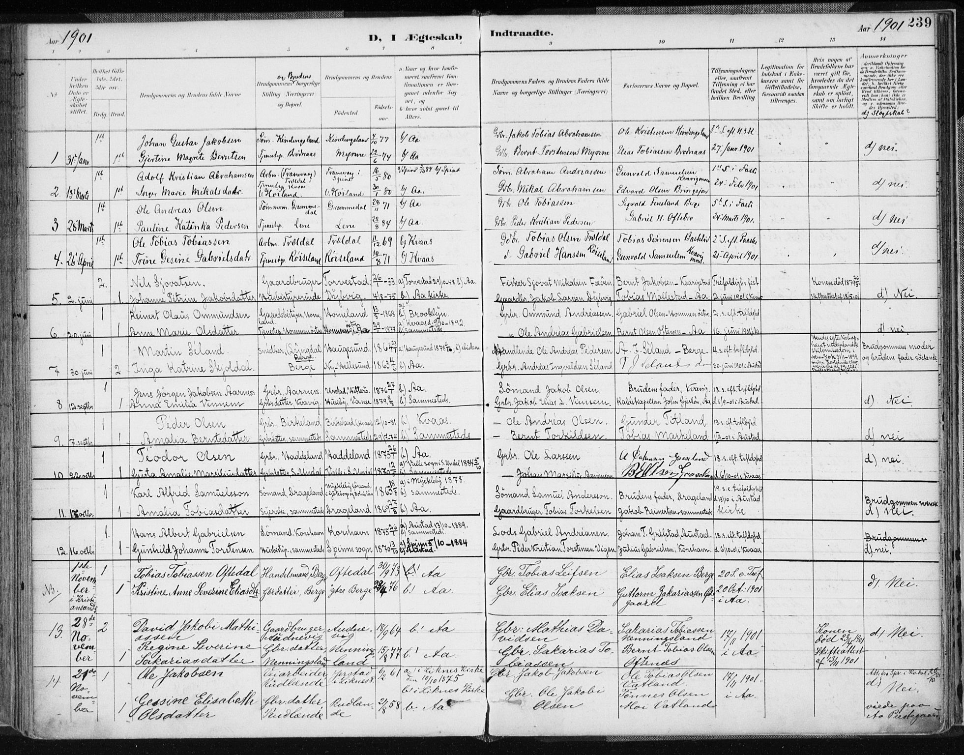 Lyngdal sokneprestkontor, SAK/1111-0029/F/Fa/Fac/L0012: Parish register (official) no. A 12, 1894-1918, p. 239