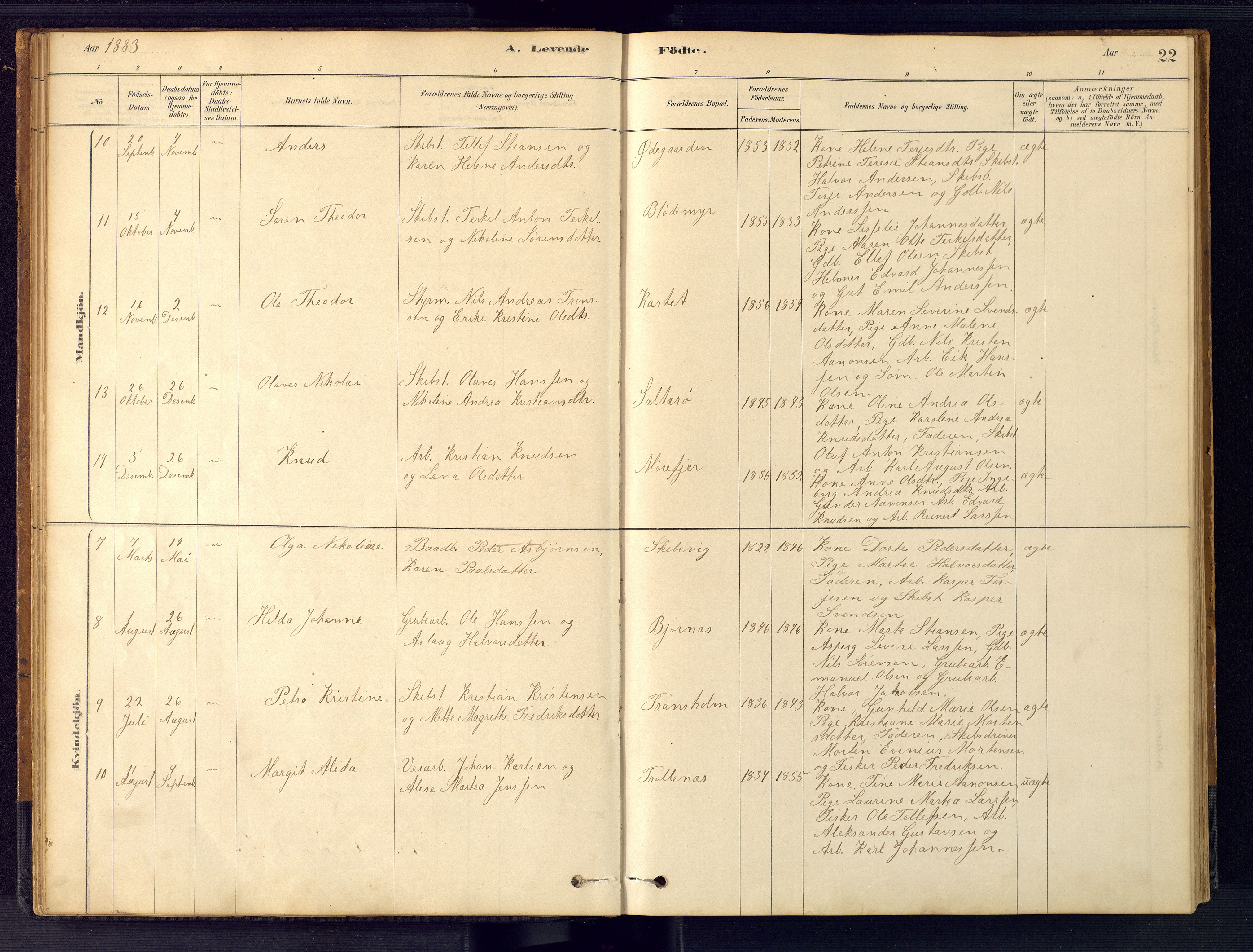 Austre Moland sokneprestkontor, AV/SAK-1111-0001/F/Fb/Fbb/L0001: Parish register (copy) no. B 1, 1878-1904, p. 22