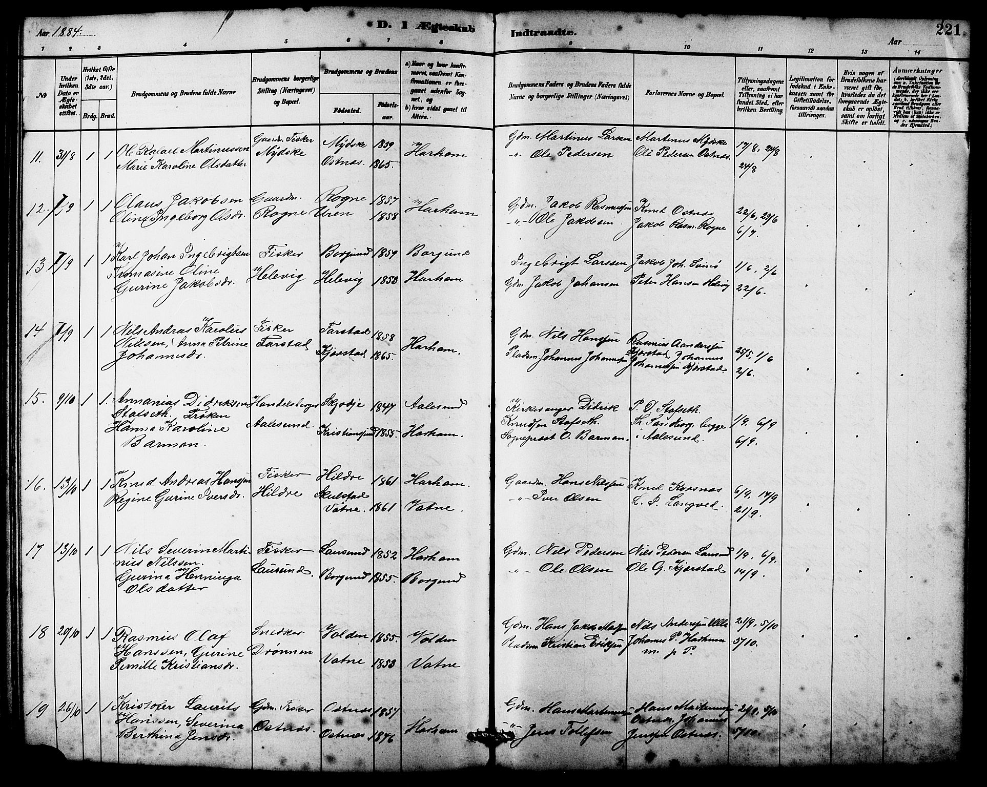 Ministerialprotokoller, klokkerbøker og fødselsregistre - Møre og Romsdal, SAT/A-1454/536/L0510: Parish register (copy) no. 536C05, 1881-1898, p. 221