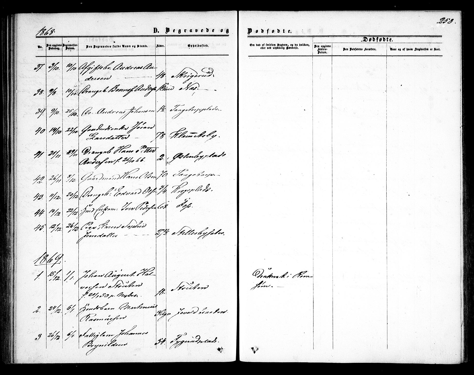 Rødenes prestekontor Kirkebøker, SAO/A-2005/F/Fa/L0007: Parish register (official) no. I 7, 1860-1869, p. 258