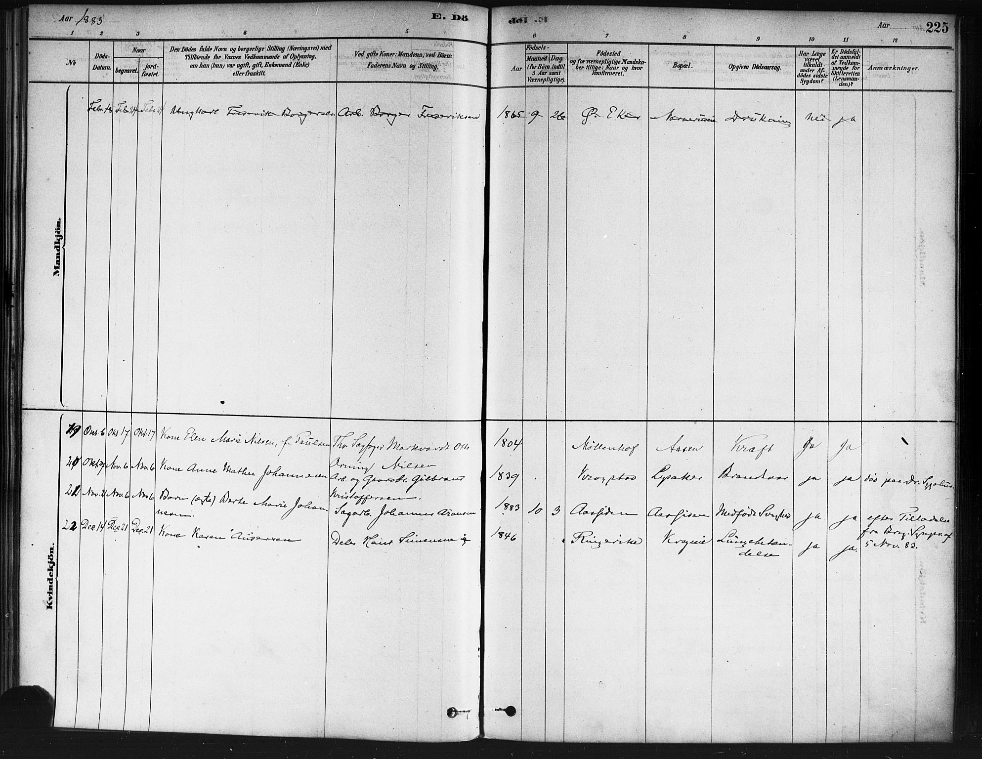 Nedre Eiker kirkebøker, AV/SAKO-A-612/F/Fa/L0002: Parish register (official) no. 2, 1878-1885, p. 225