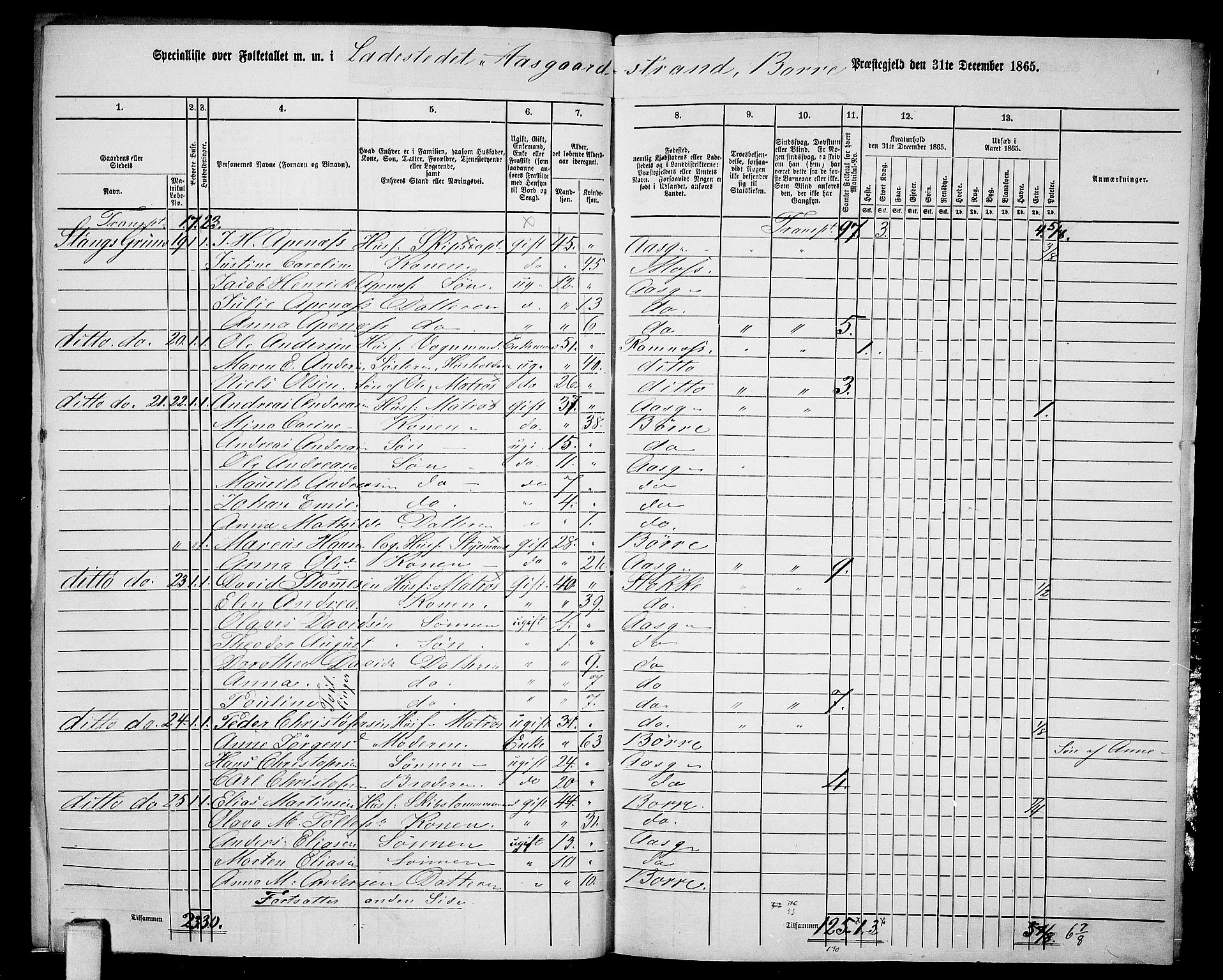 RA, 1865 census for Borre, 1865, p. 9