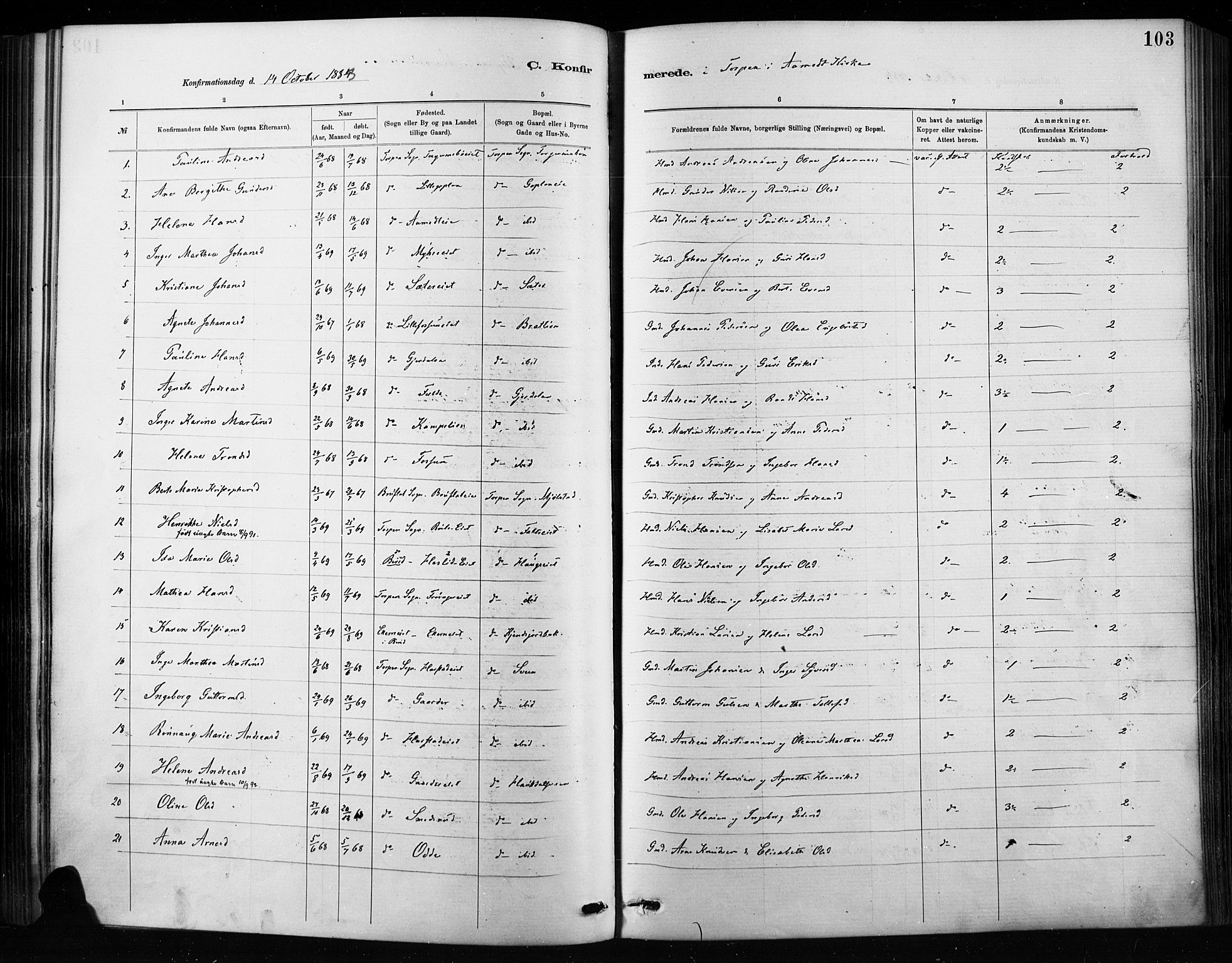 Nordre Land prestekontor, SAH/PREST-124/H/Ha/Haa/L0004: Parish register (official) no. 4, 1882-1896, p. 103