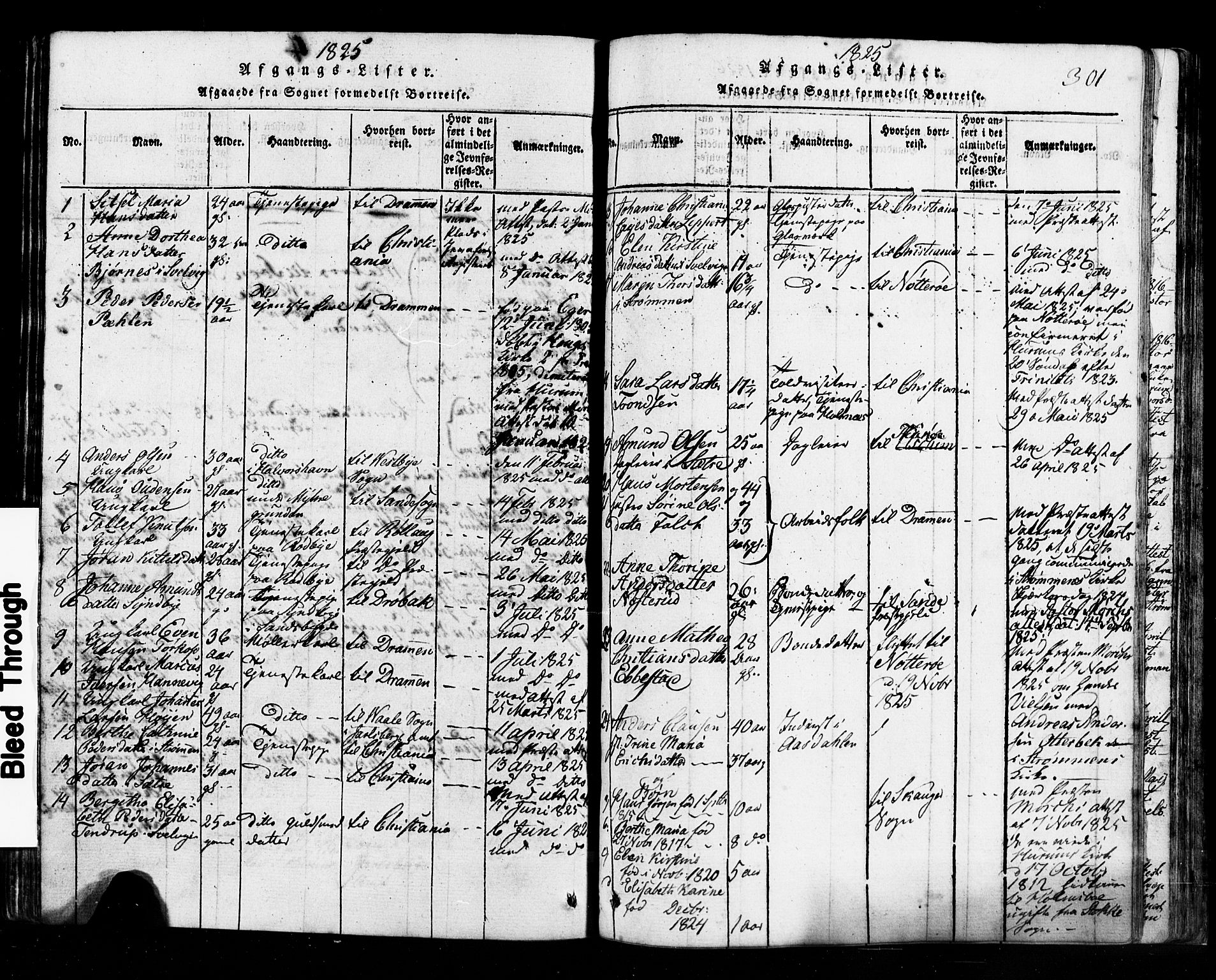 Hurum kirkebøker, SAKO/A-229/G/Ga/L0001: Parish register (copy) no. I 1, 1816-1826, p. 301