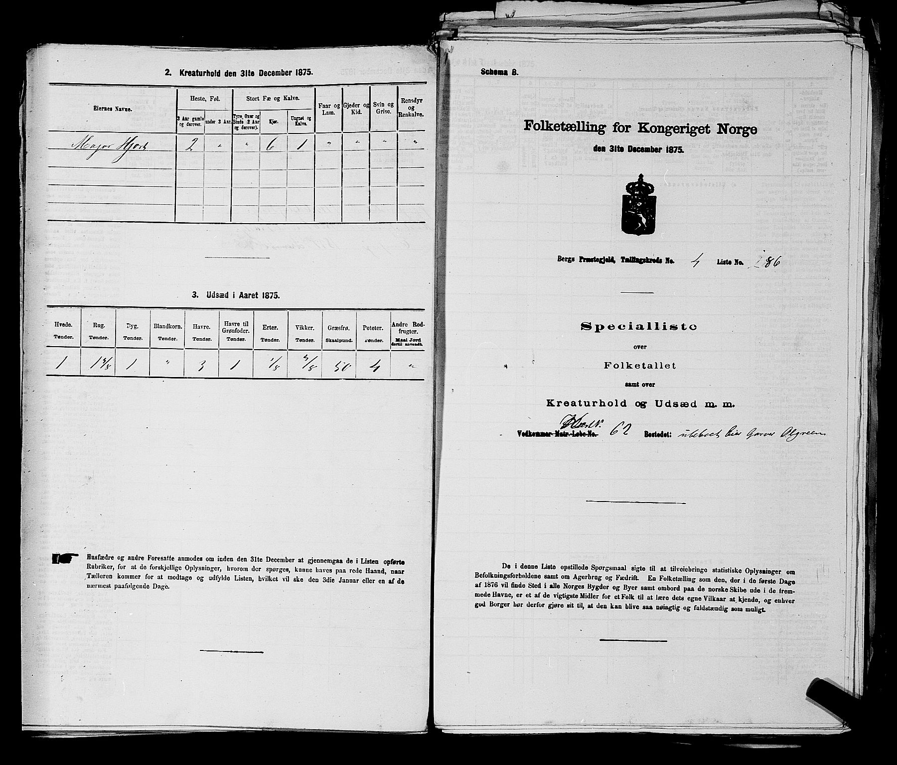 RA, 1875 census for 0116P Berg, 1875, p. 493