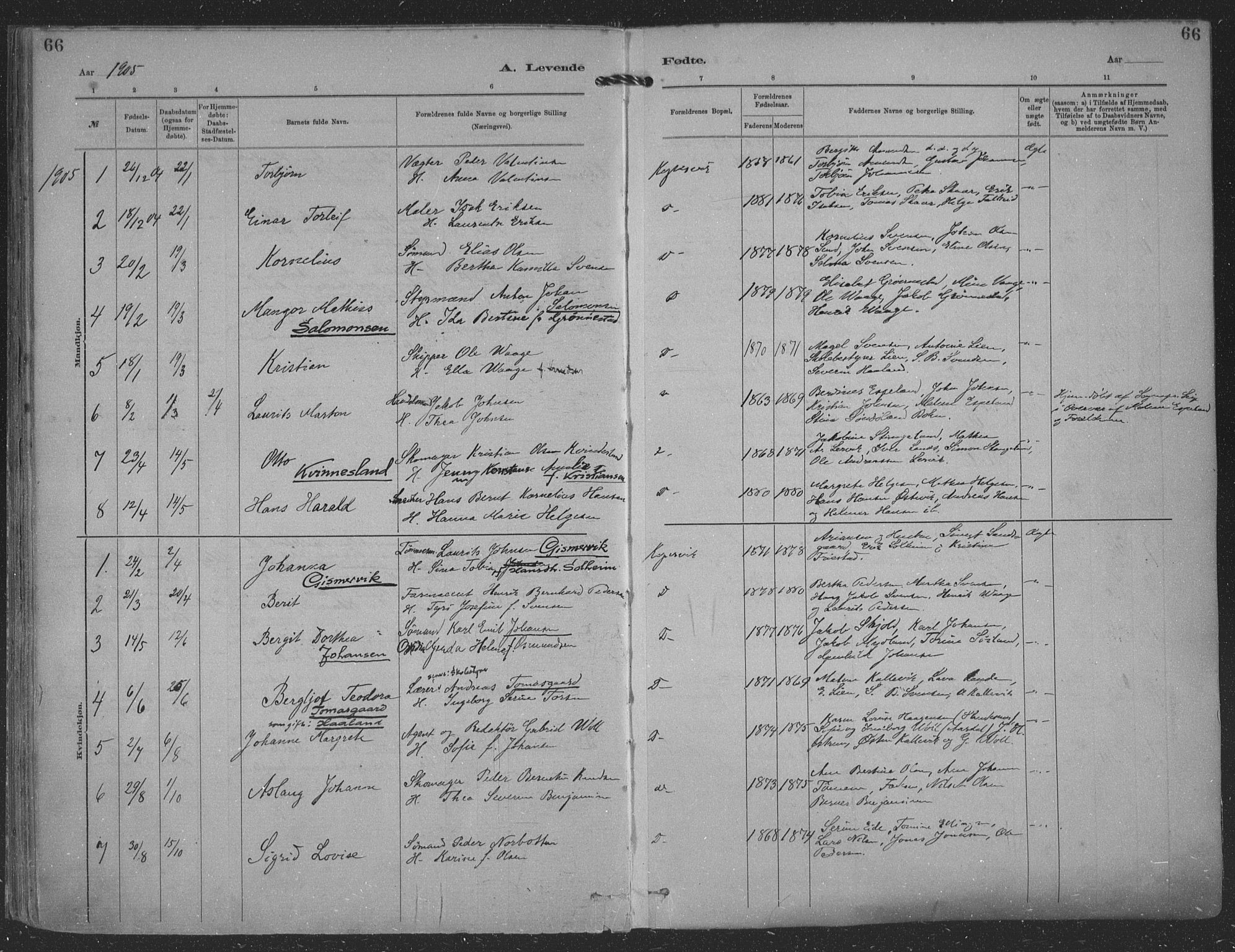 Kopervik sokneprestkontor, AV/SAST-A-101850/H/Ha/Haa/L0001: Parish register (official) no. A 1, 1880-1919, p. 66