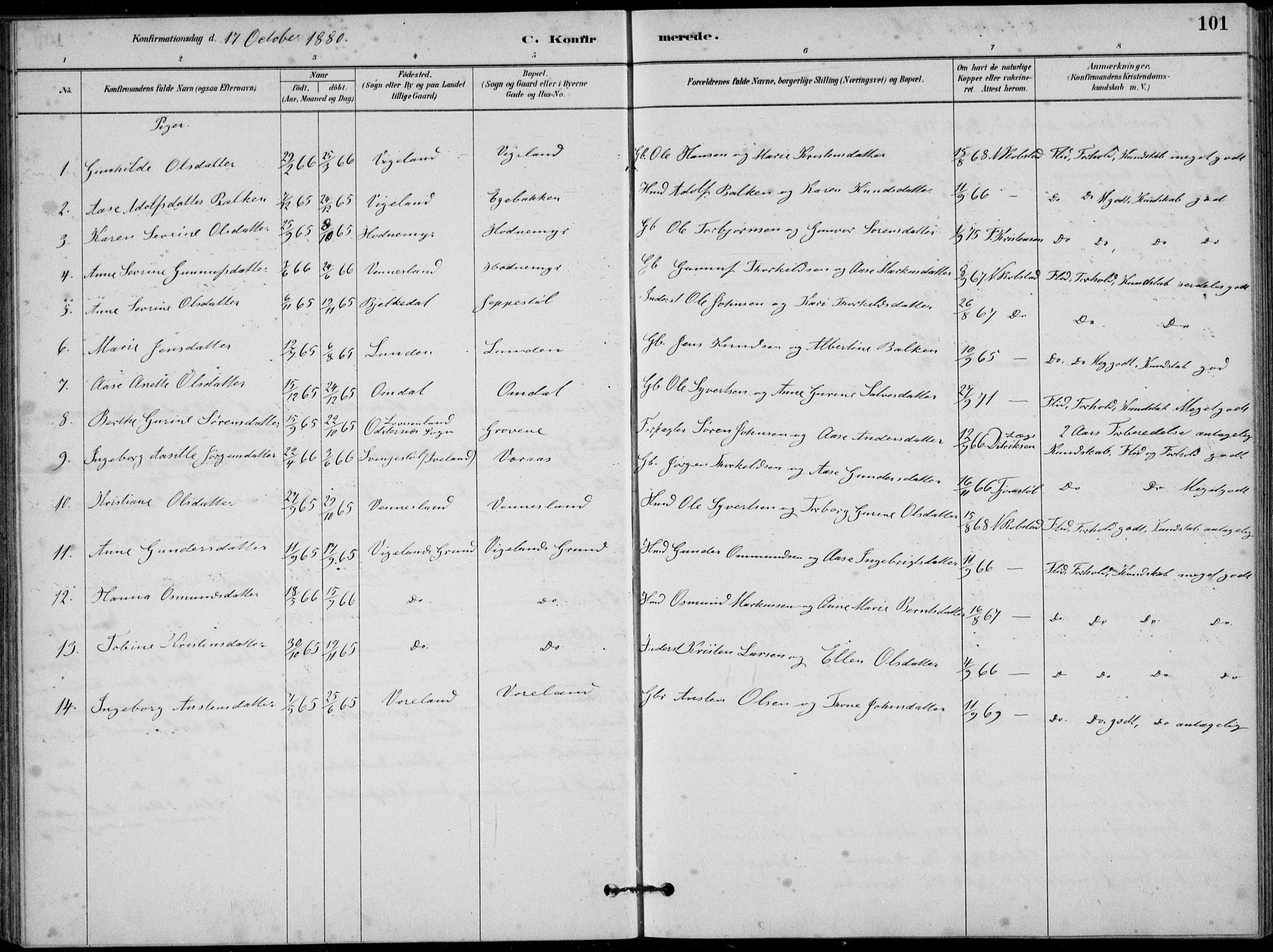 Vennesla sokneprestkontor, AV/SAK-1111-0045/Fb/Fbb/L0003: Parish register (copy) no. B 3, 1879-1893, p. 101