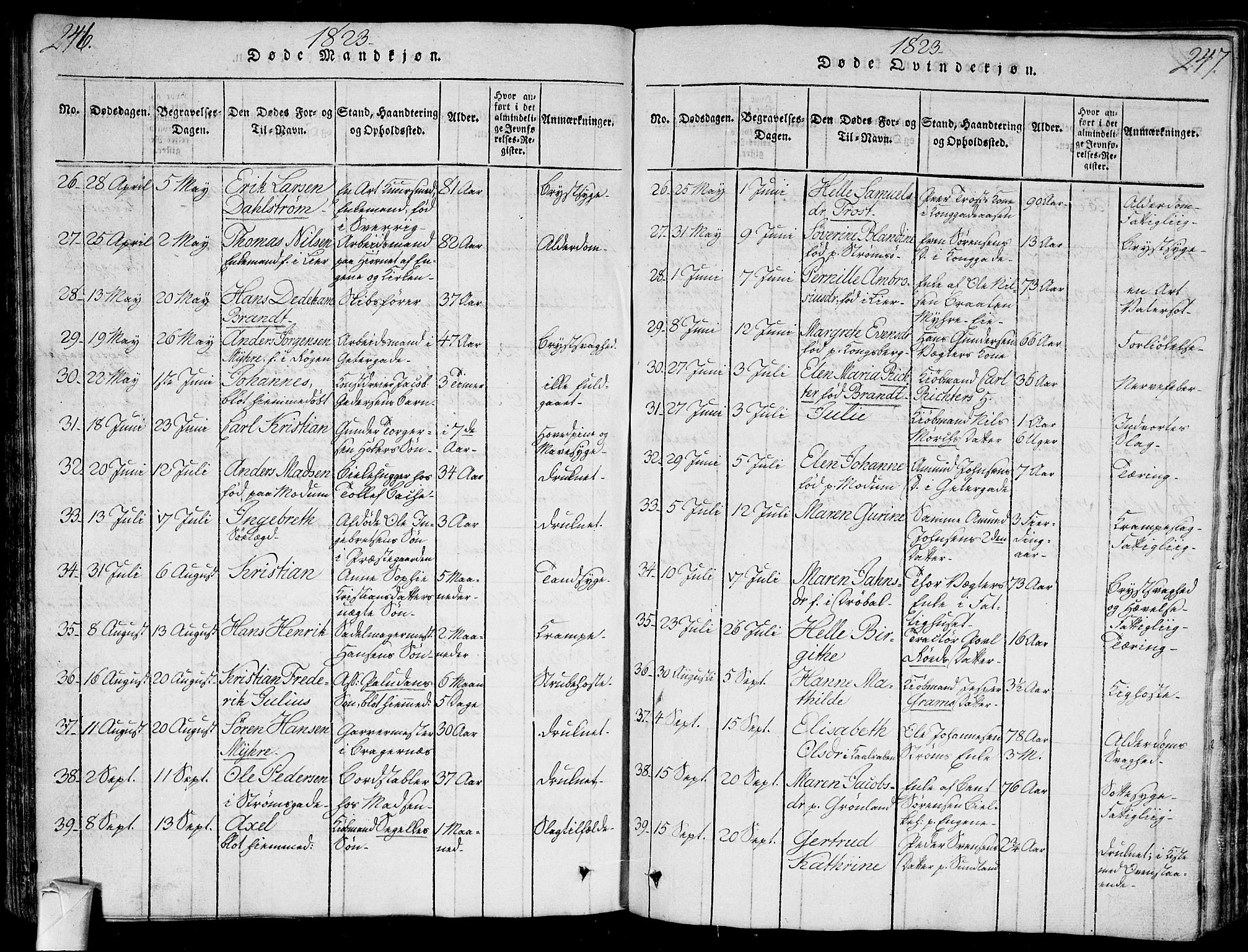 Bragernes kirkebøker, SAKO/A-6/G/Ga/L0001: Parish register (copy) no. 1, 1815-1829, p. 246-247