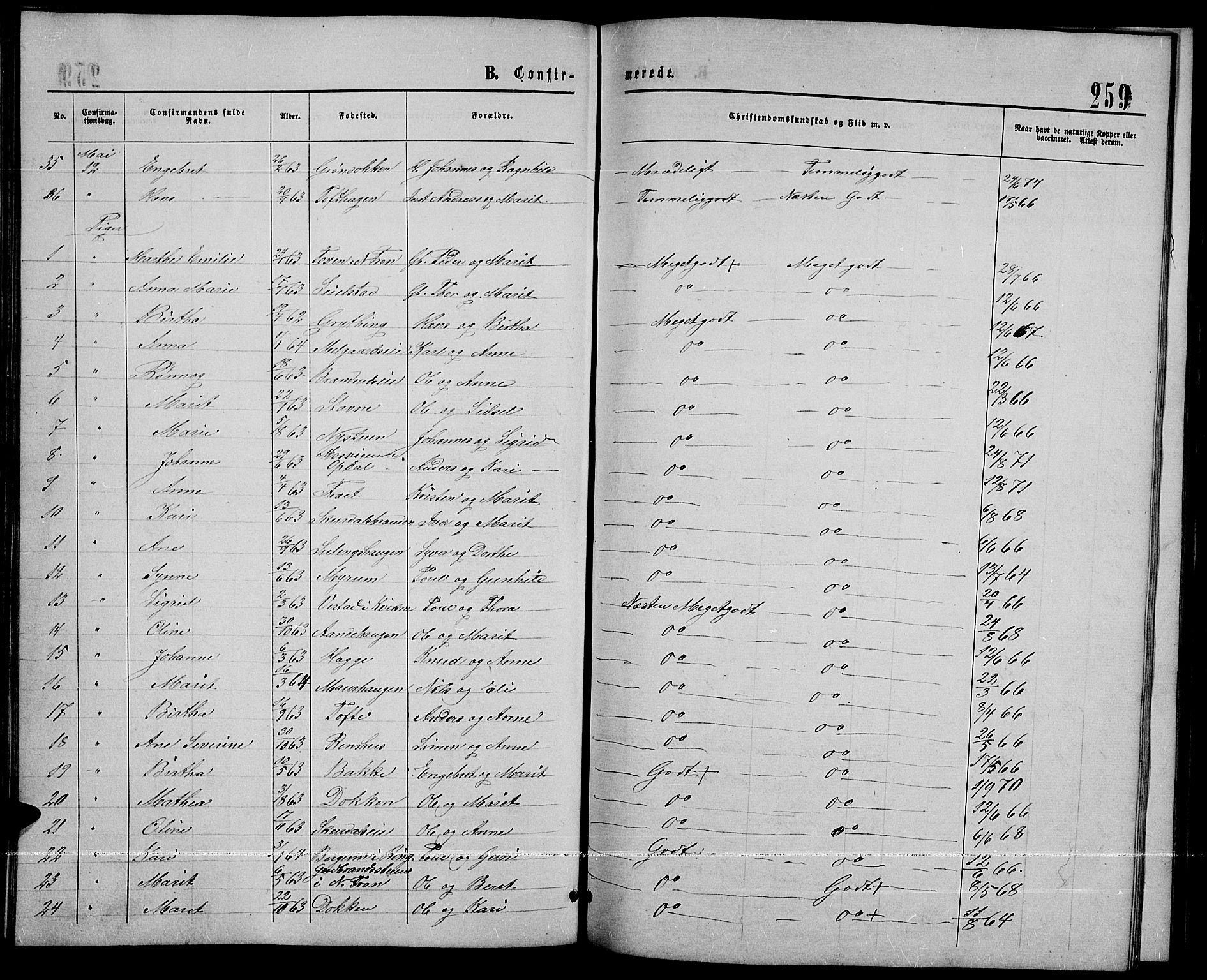 Sør-Fron prestekontor, SAH/PREST-010/H/Ha/Hab/L0002: Parish register (copy) no. 2, 1864-1883, p. 259