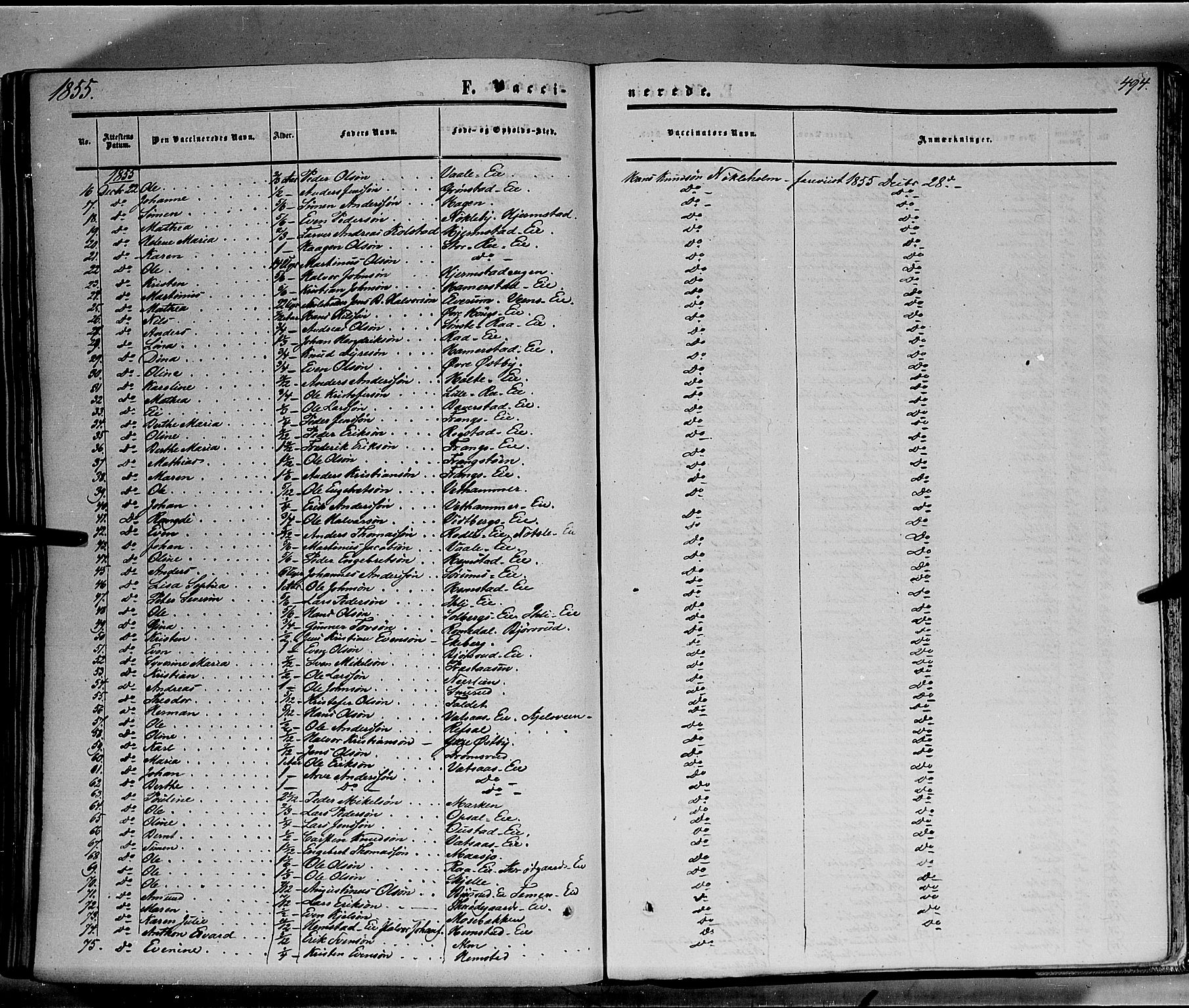 Stange prestekontor, AV/SAH-PREST-002/K/L0012: Parish register (official) no. 12, 1852-1862, p. 494