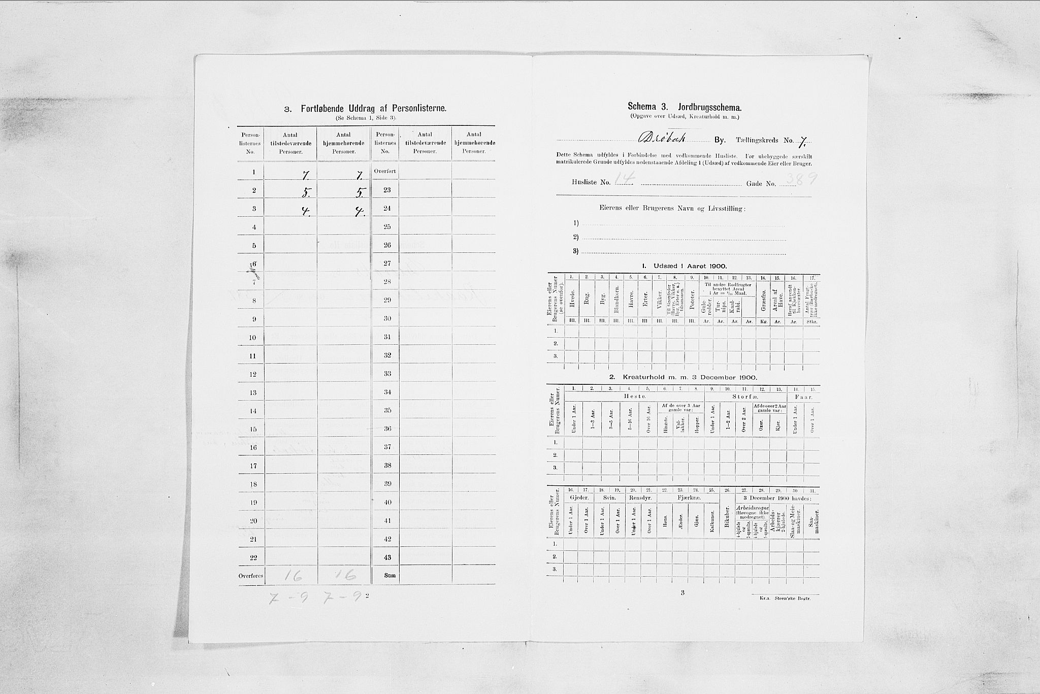 SAO, 1900 census for Drøbak, 1900