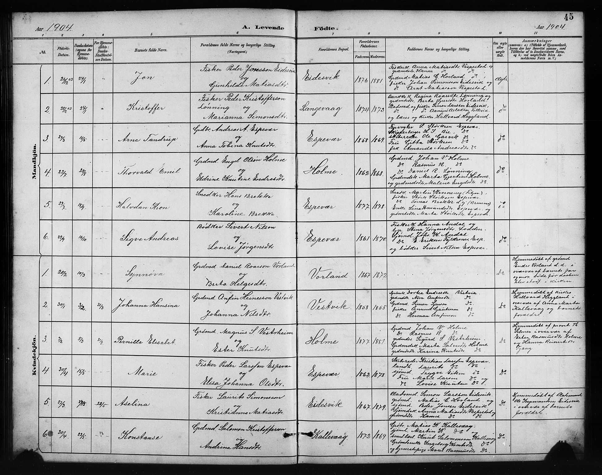 Finnås sokneprestembete, AV/SAB-A-99925/H/Ha/Hab/Habc/L0002: Parish register (copy) no. C 2, 1887-1906, p. 45