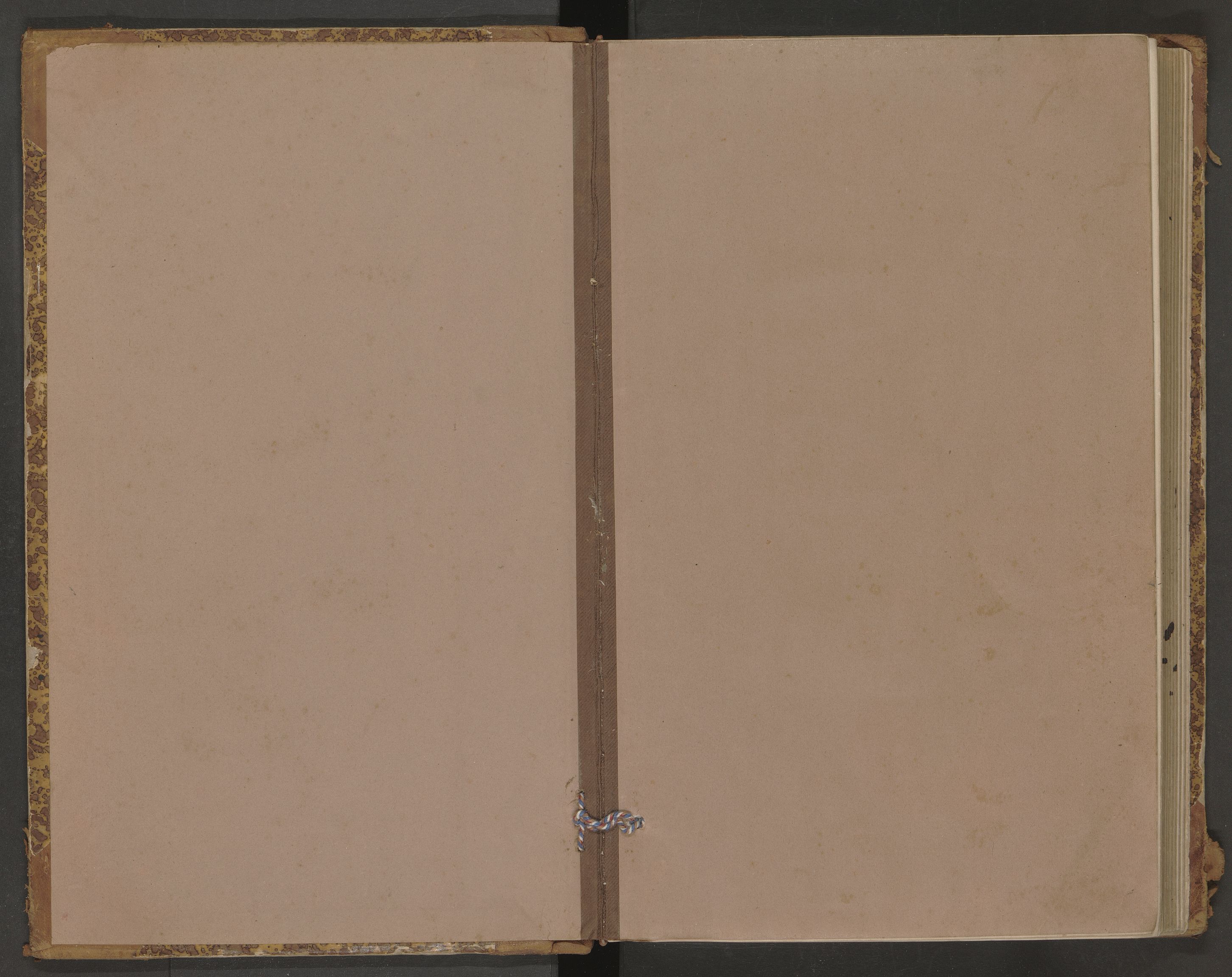 Tjølling lensmannskontor, AV/SAKO-A-16/Y/Yb/Ybb/L0001: Branntakstprotokoll, 1895-1902