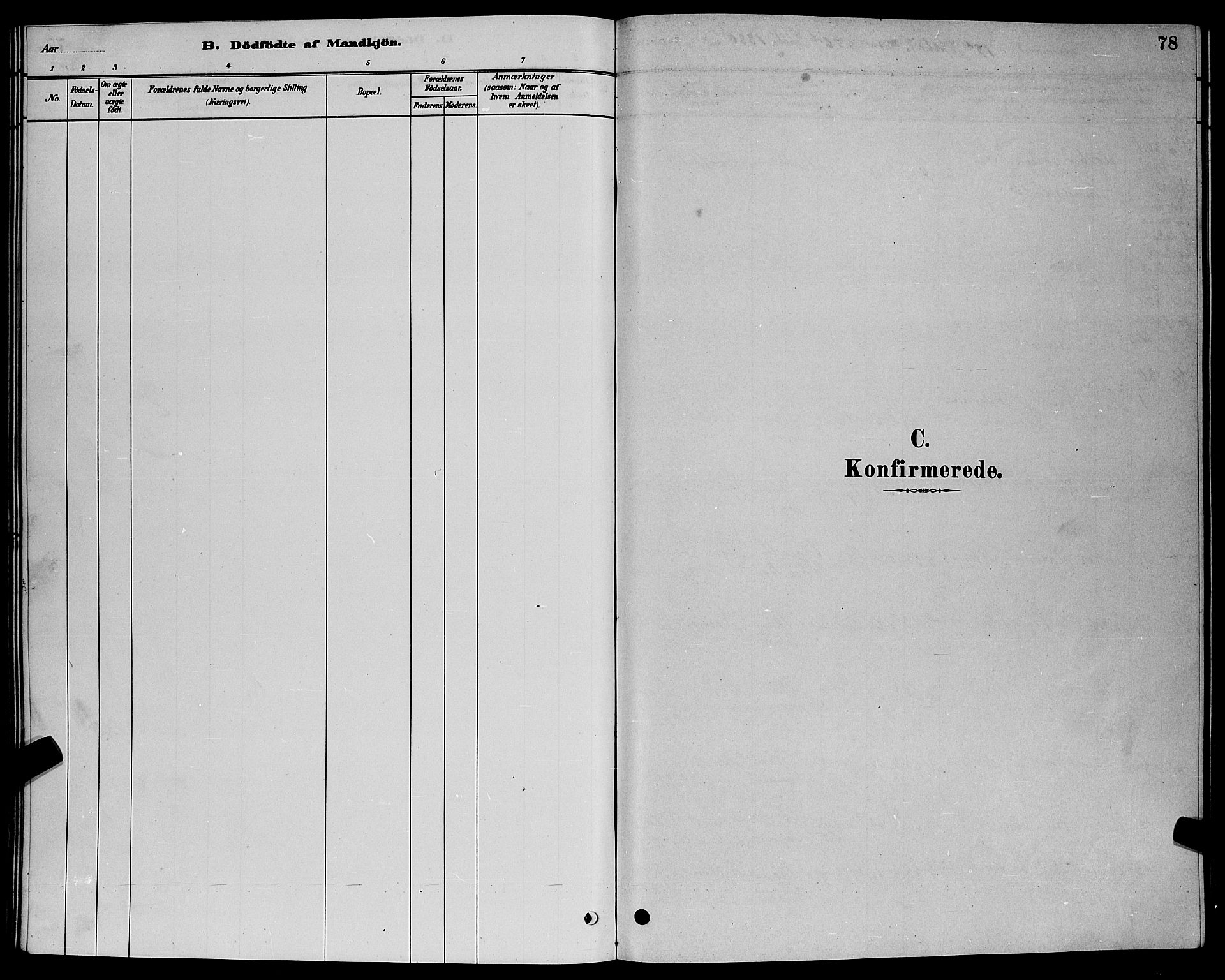 Ministerialprotokoller, klokkerbøker og fødselsregistre - Møre og Romsdal, AV/SAT-A-1454/524/L0365: Parish register (copy) no. 524C06, 1880-1899, p. 78