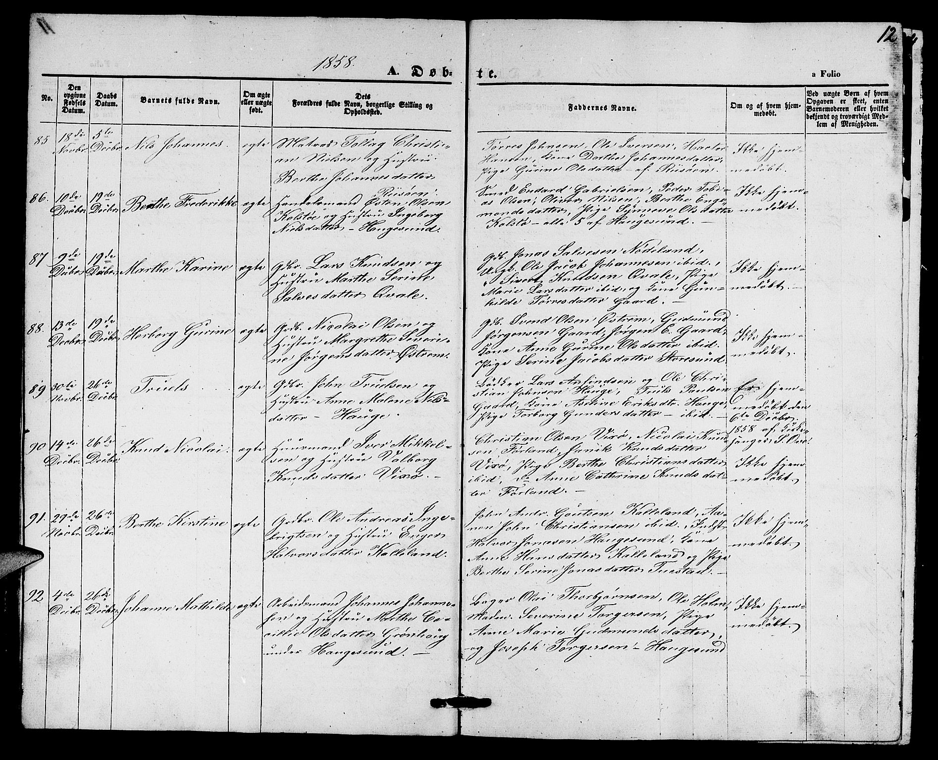 Torvastad sokneprestkontor, SAST/A -101857/H/Ha/Hab/L0006: Parish register (copy) no. B 6, 1858-1867, p. 12