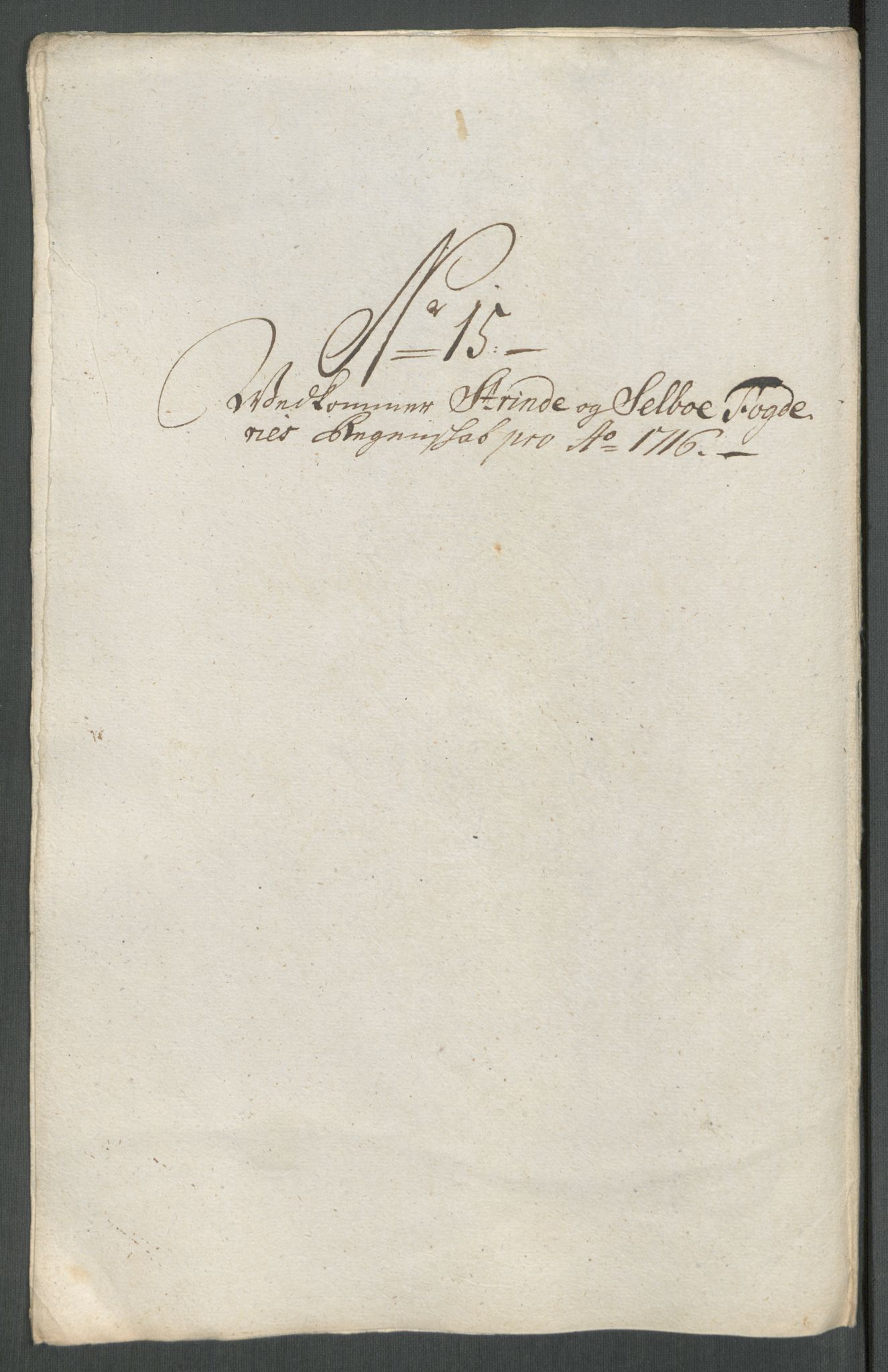 Rentekammeret inntil 1814, Reviderte regnskaper, Fogderegnskap, AV/RA-EA-4092/R61/L4115: Fogderegnskap Strinda og Selbu, 1715-1716, p. 389