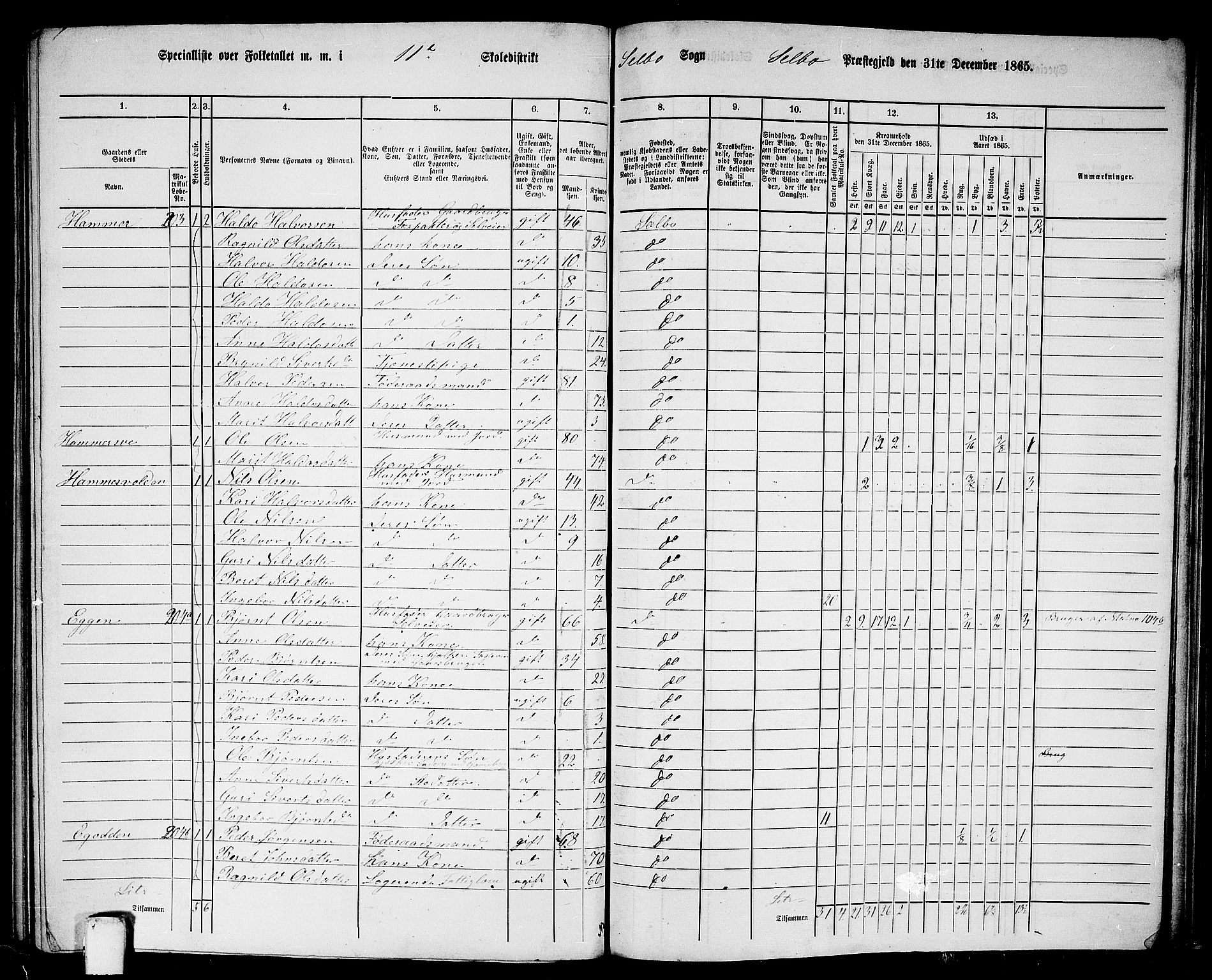 RA, 1865 census for Selbu, 1865, p. 215