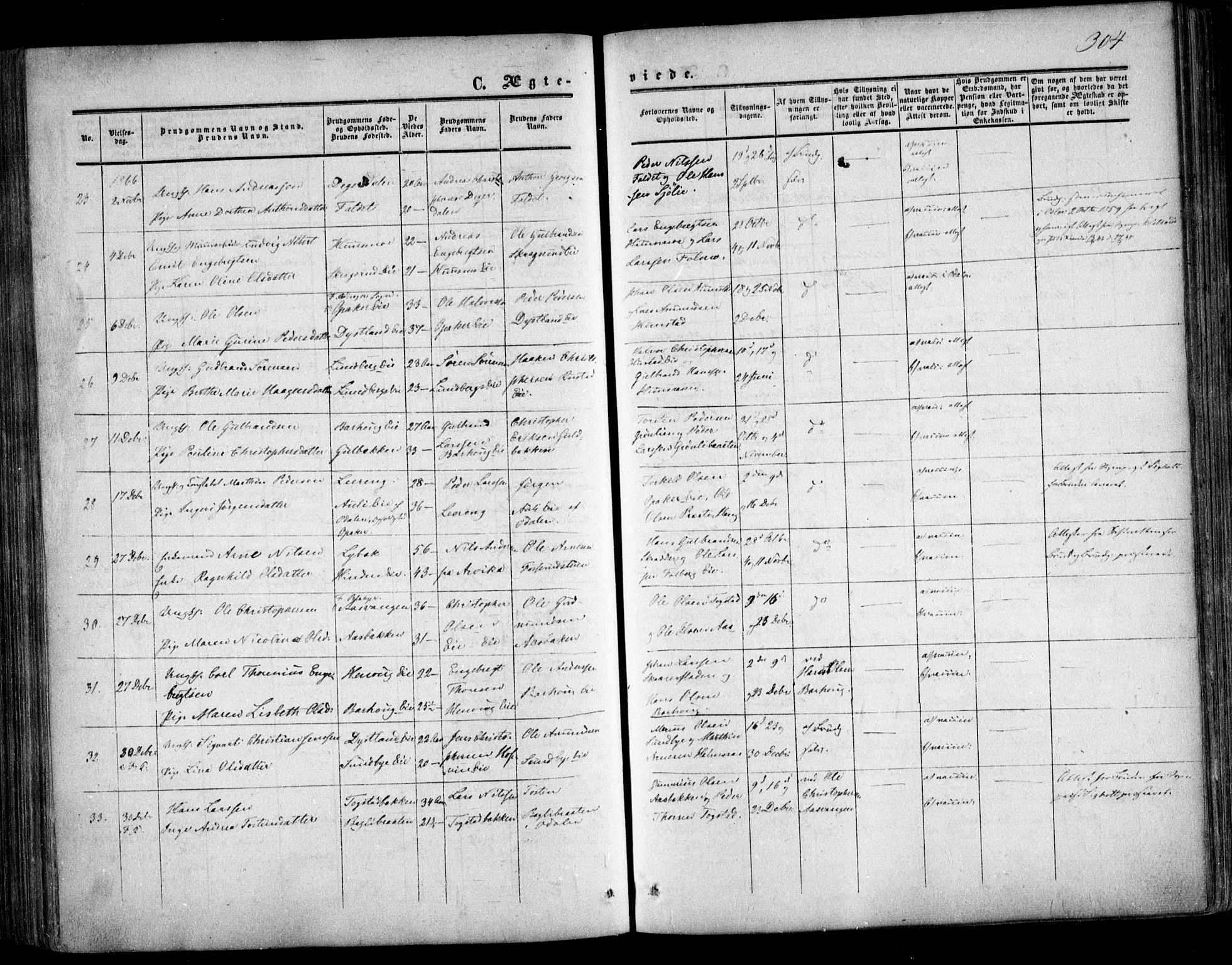 Nes prestekontor Kirkebøker, SAO/A-10410/F/Fa/L0008: Parish register (official) no. I 8, 1859-1874, p. 304