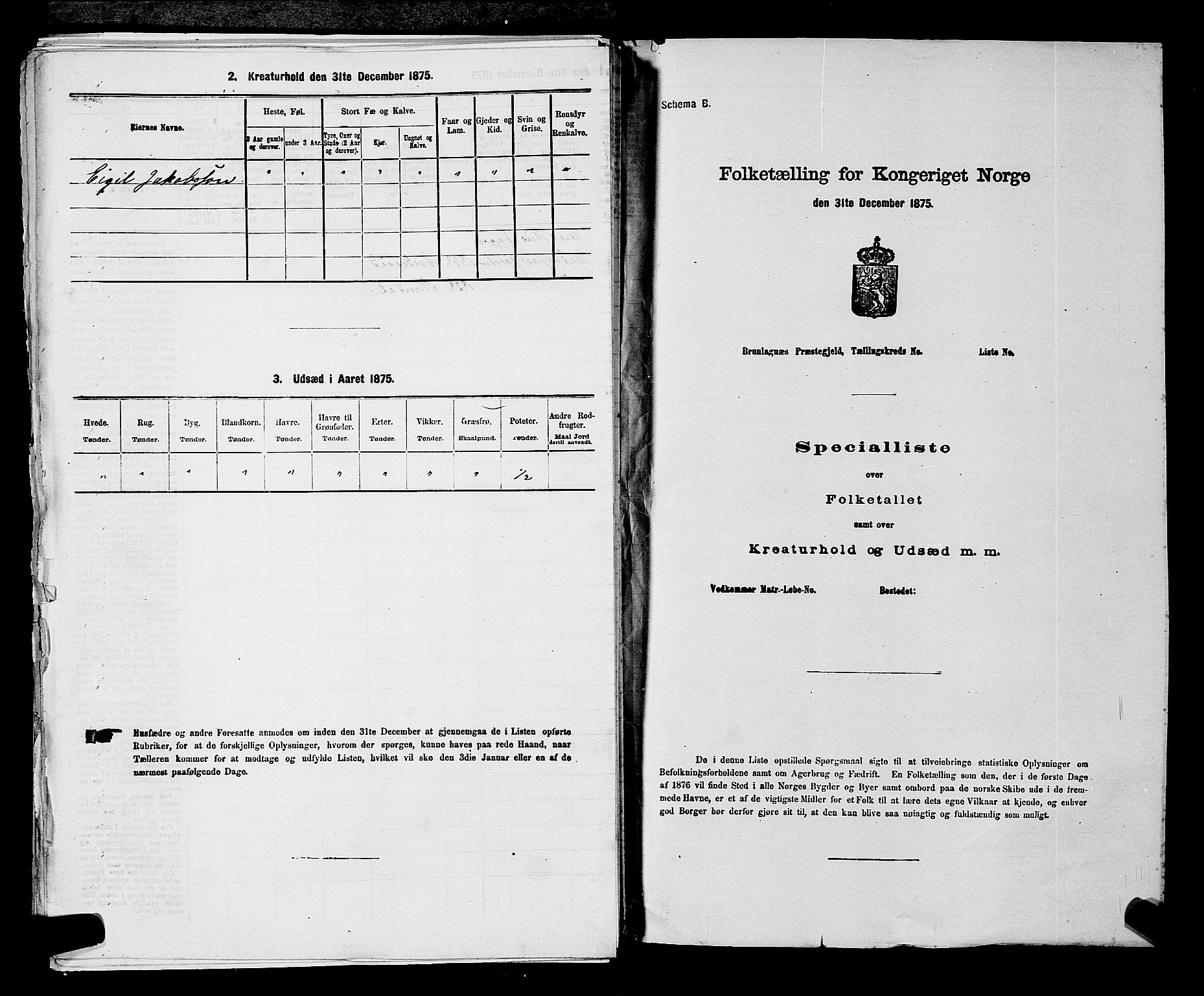 SAKO, 1875 census for 0812P Gjerpen, 1875, p. 843