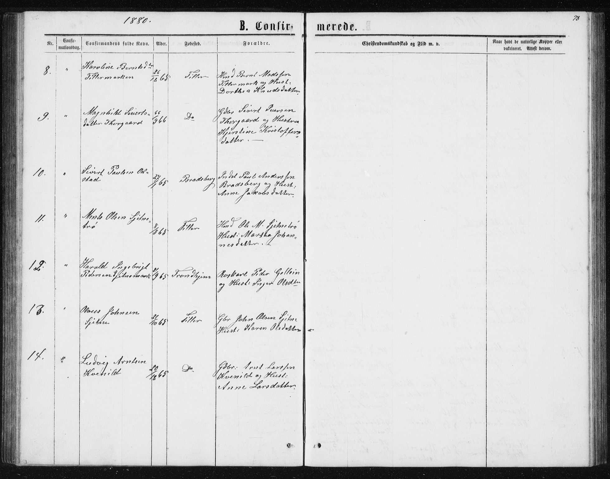 Ministerialprotokoller, klokkerbøker og fødselsregistre - Sør-Trøndelag, AV/SAT-A-1456/621/L0459: Parish register (copy) no. 621C02, 1866-1895, p. 78