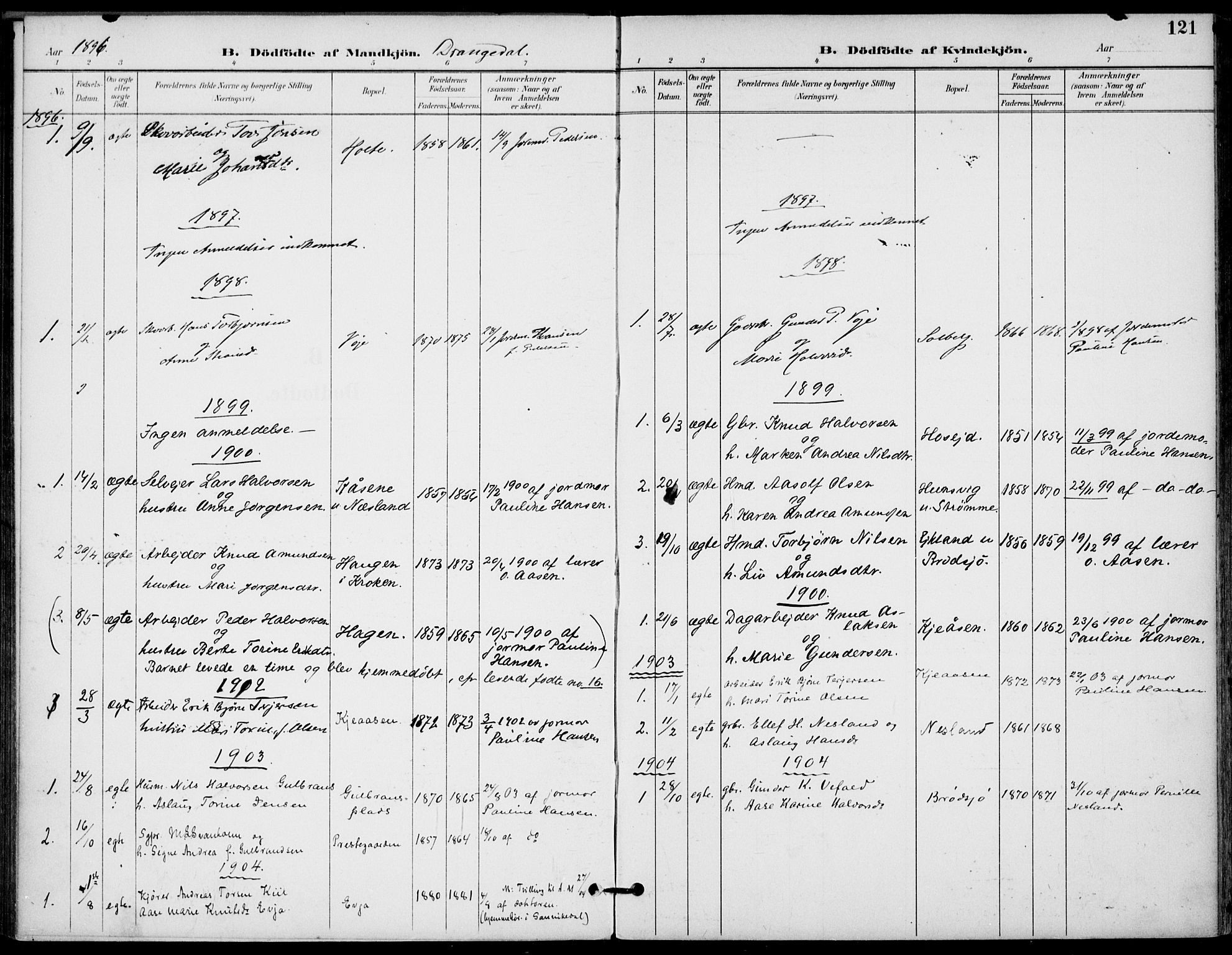 Drangedal kirkebøker, SAKO/A-258/F/Fa/L0012: Parish register (official) no. 12, 1895-1905, p. 121