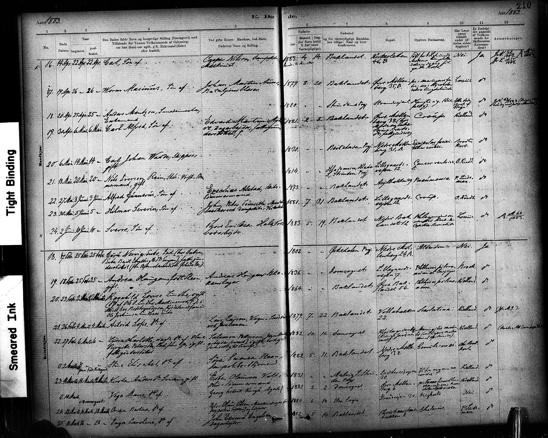 Ministerialprotokoller, klokkerbøker og fødselsregistre - Sør-Trøndelag, AV/SAT-A-1456/604/L0189: Parish register (official) no. 604A10, 1878-1892, p. 210