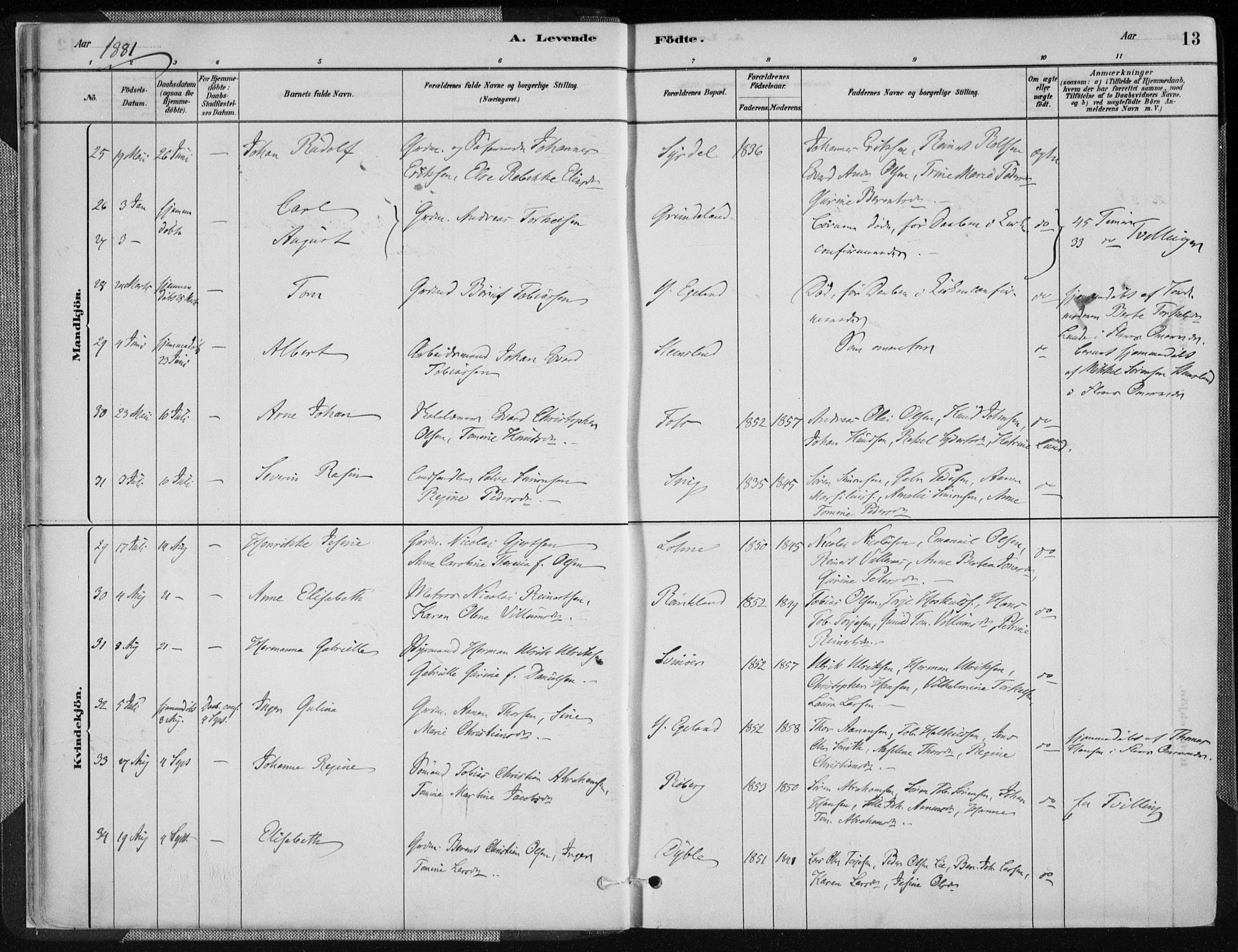 Sør-Audnedal sokneprestkontor, AV/SAK-1111-0039/F/Fa/Fab/L0009: Parish register (official) no. A 9, 1880-1895, p. 13