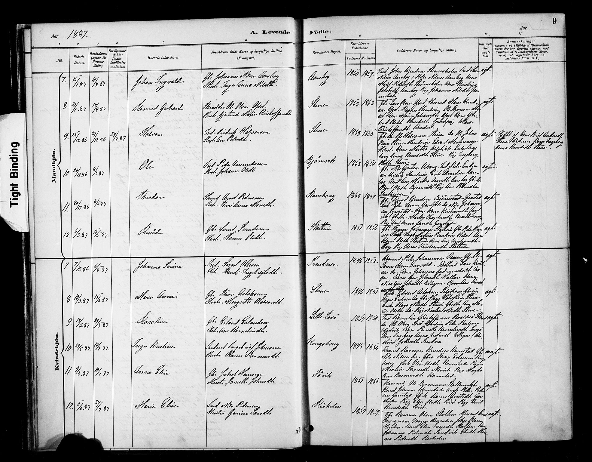 Ministerialprotokoller, klokkerbøker og fødselsregistre - Møre og Romsdal, AV/SAT-A-1454/570/L0832: Parish register (official) no. 570A06, 1885-1900, p. 9