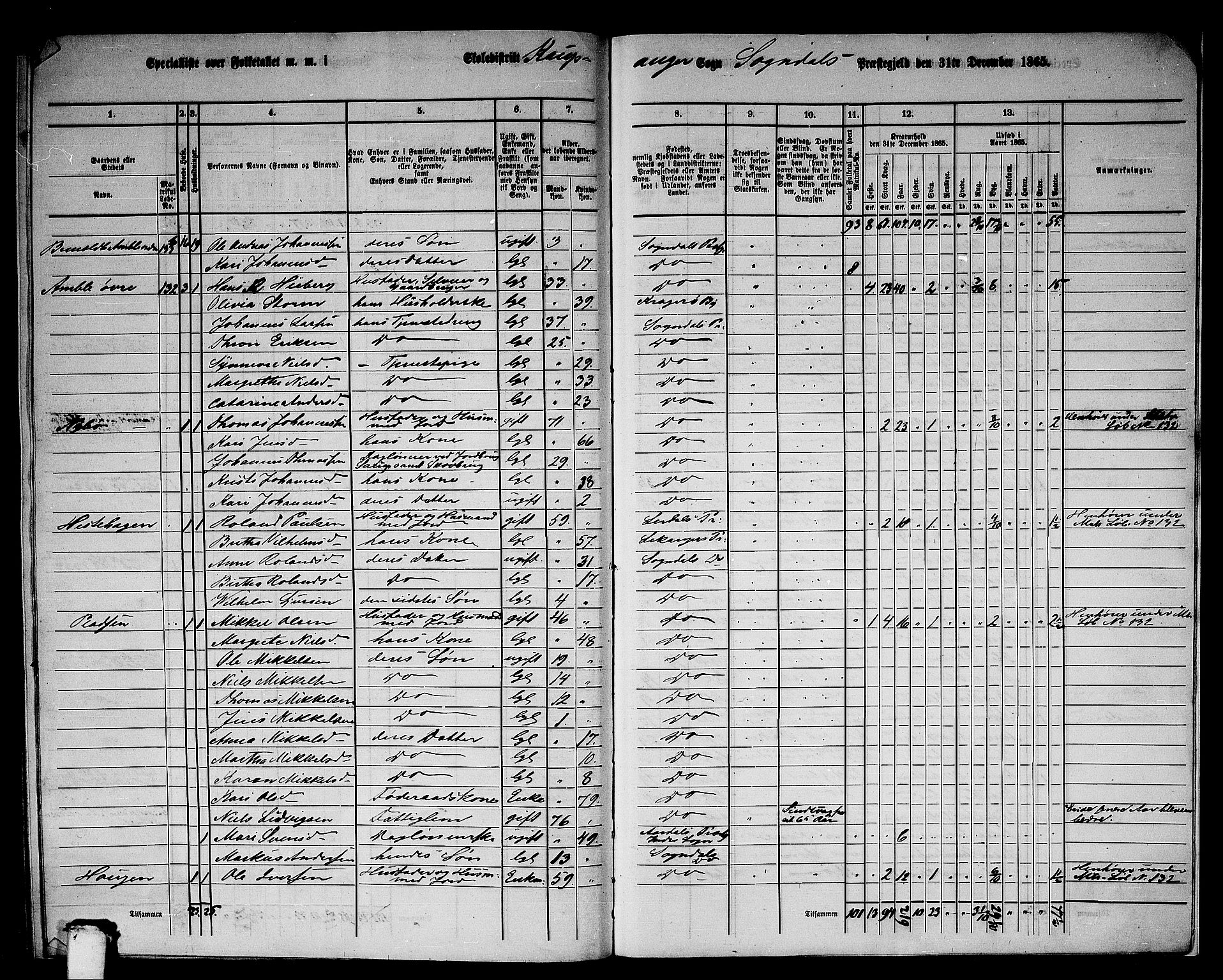 RA, 1865 census for Sogndal, 1865, p. 176