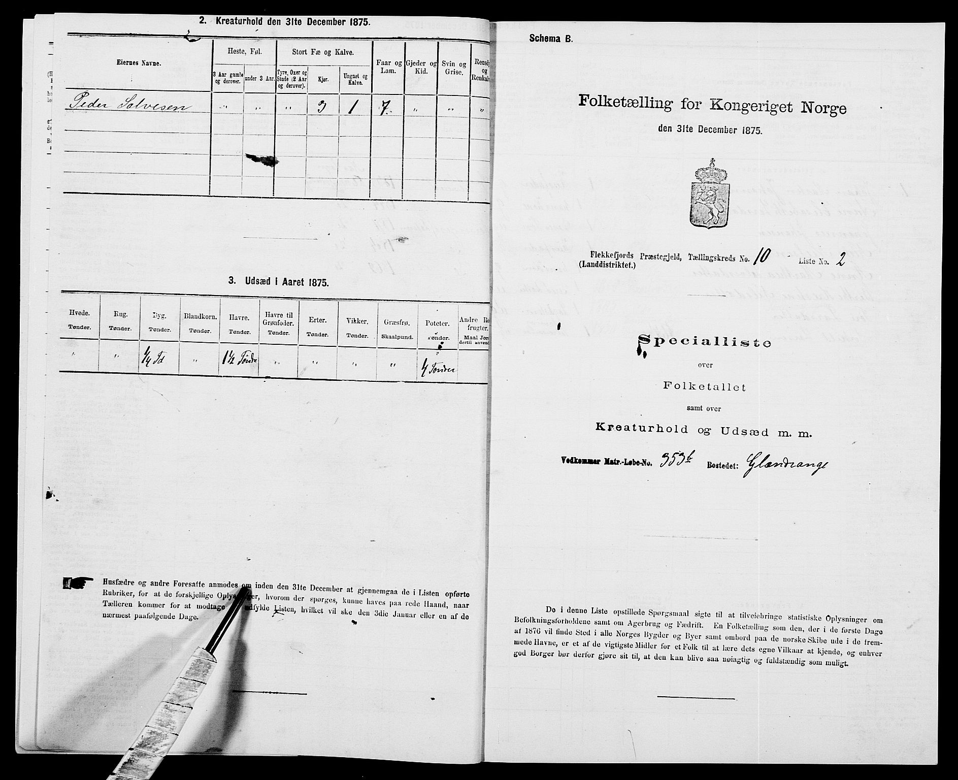 SAK, 1875 census for 1042L Flekkefjord/Nes og Hidra, 1875, p. 1219