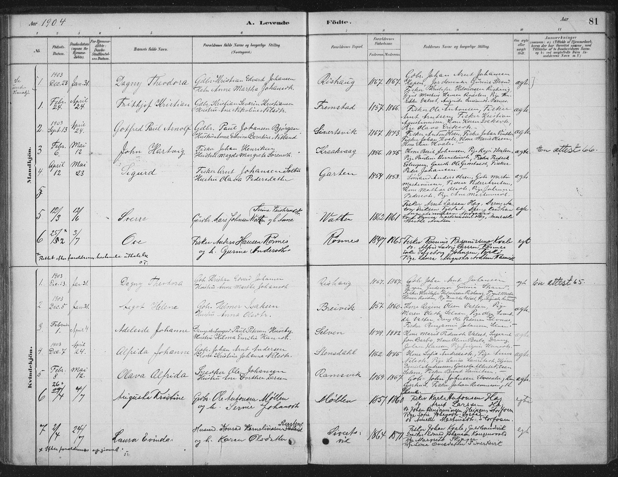 Ministerialprotokoller, klokkerbøker og fødselsregistre - Sør-Trøndelag, SAT/A-1456/662/L0755: Parish register (official) no. 662A01, 1879-1905, p. 81