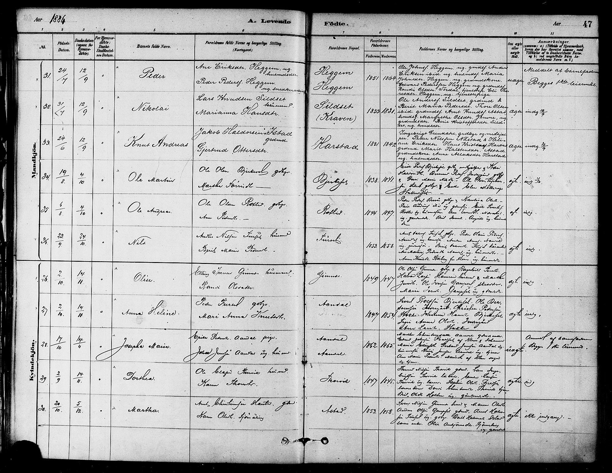 Ministerialprotokoller, klokkerbøker og fødselsregistre - Møre og Romsdal, AV/SAT-A-1454/584/L0967: Parish register (official) no. 584A07, 1879-1894, p. 47