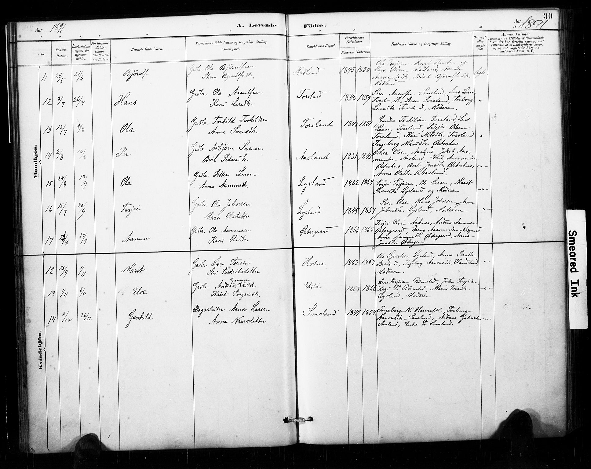 Åseral sokneprestkontor, AV/SAK-1111-0051/F/Fa/L0003: Parish register (official) no. A 3, 1884-1901, p. 30