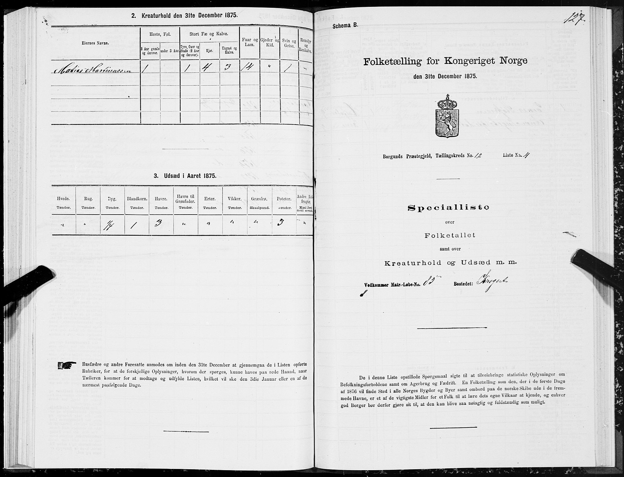 SAT, 1875 census for 1531P Borgund, 1875, p. 6127